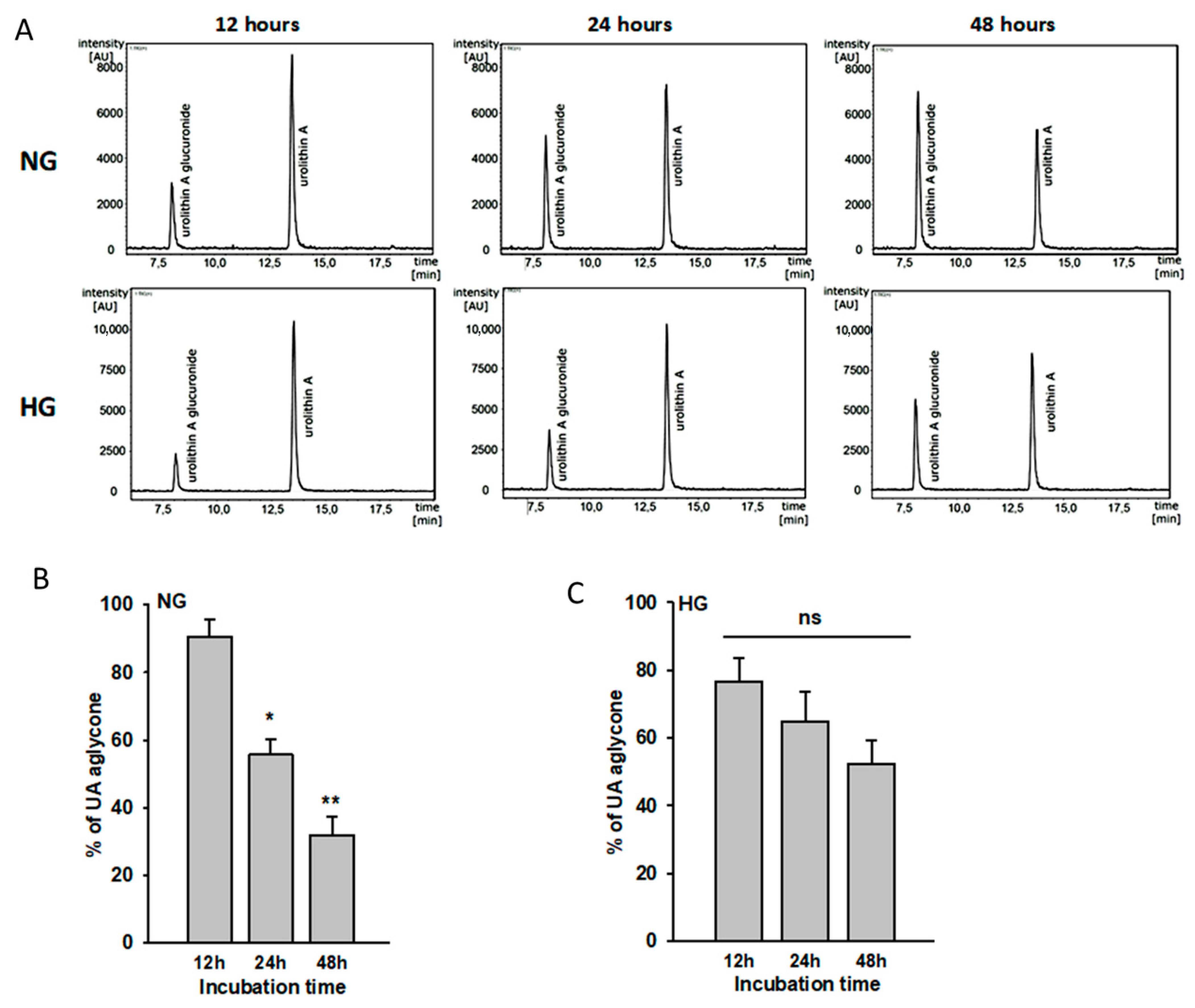 Cells 11 02471 g002 Cells 11 02471 g002