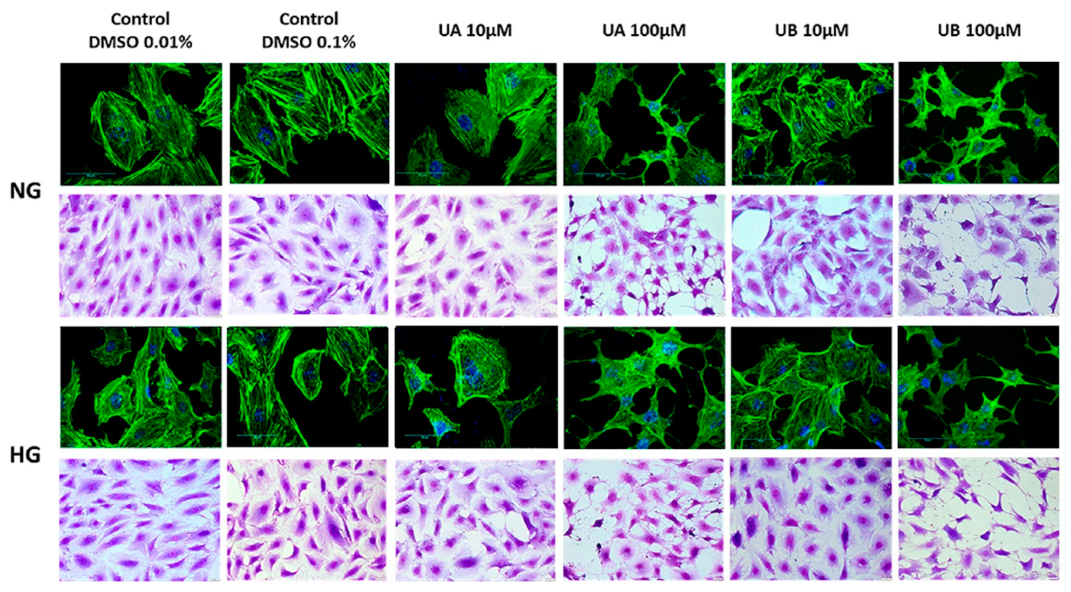Cells 11 02471 g005 Cells 11 02471 g005