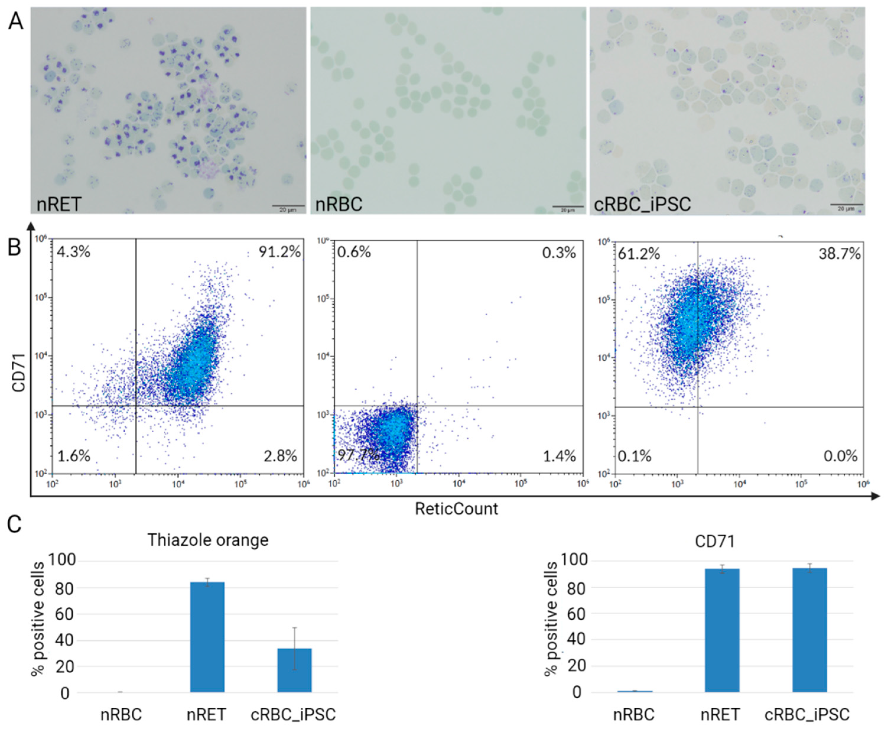 Cells 11 02473 g002 Cells 11 02473 g002