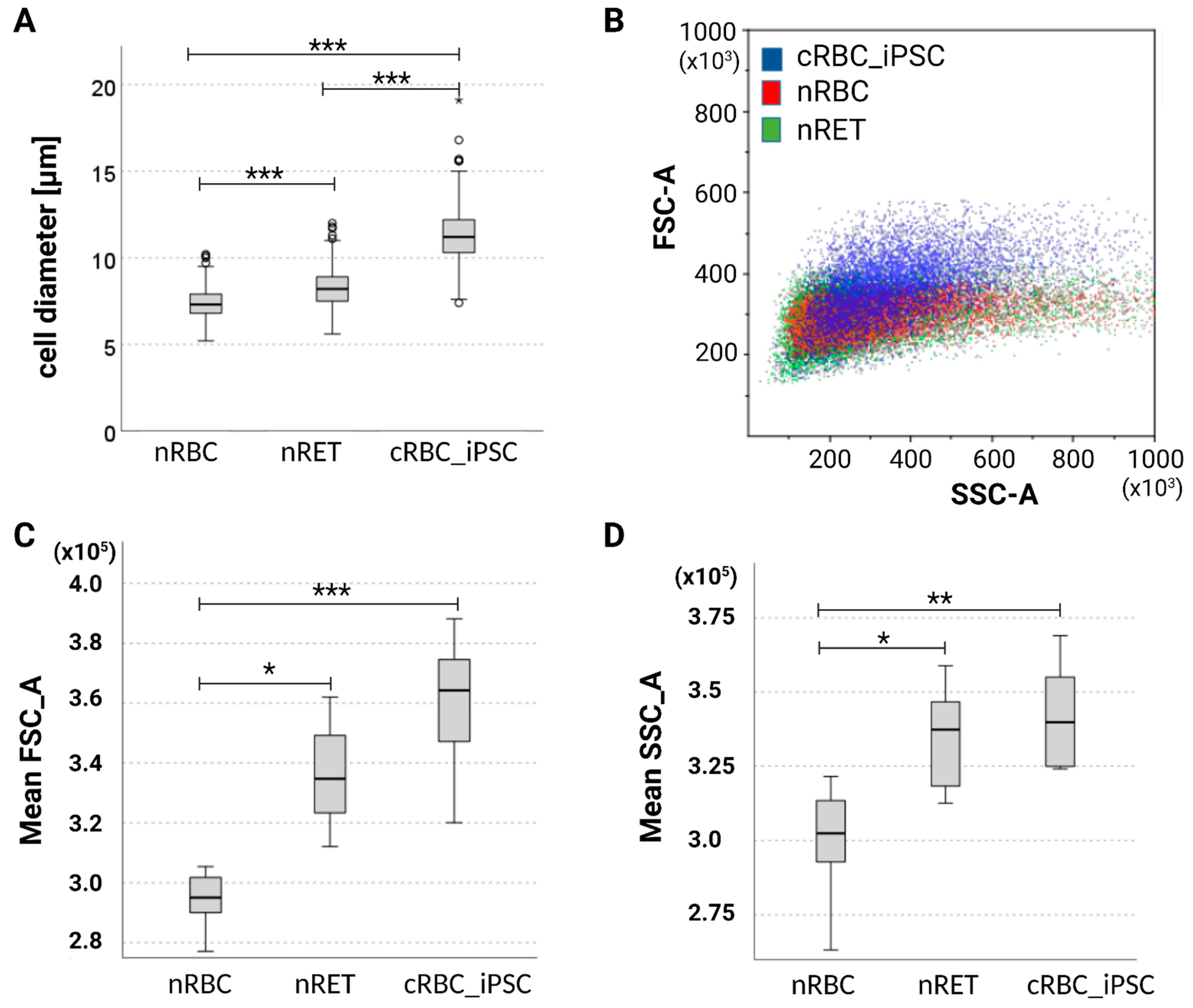 Cells 11 02473 g003 Cells 11 02473 g003