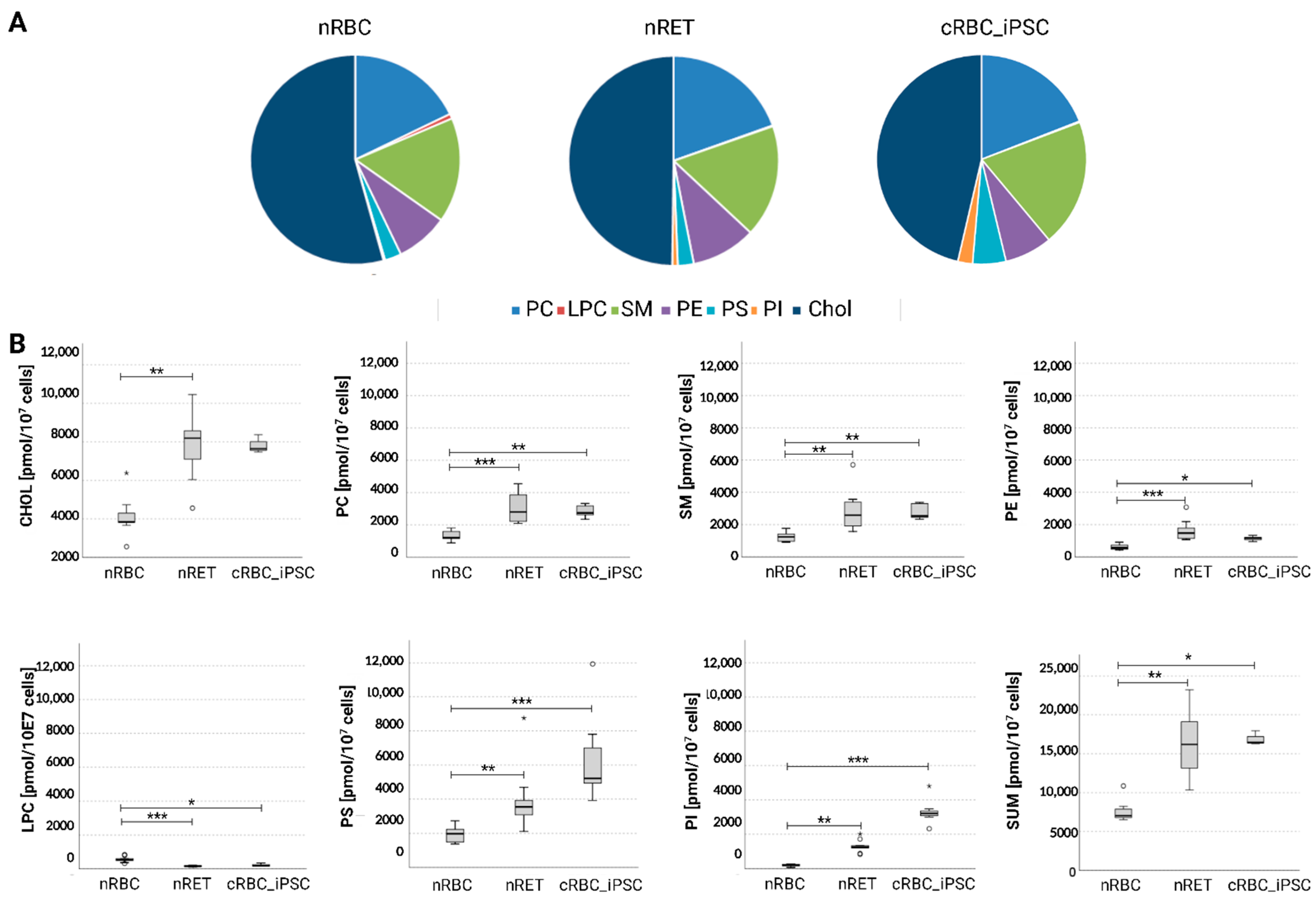Cells 11 02473 g005 Cells 11 02473 g005