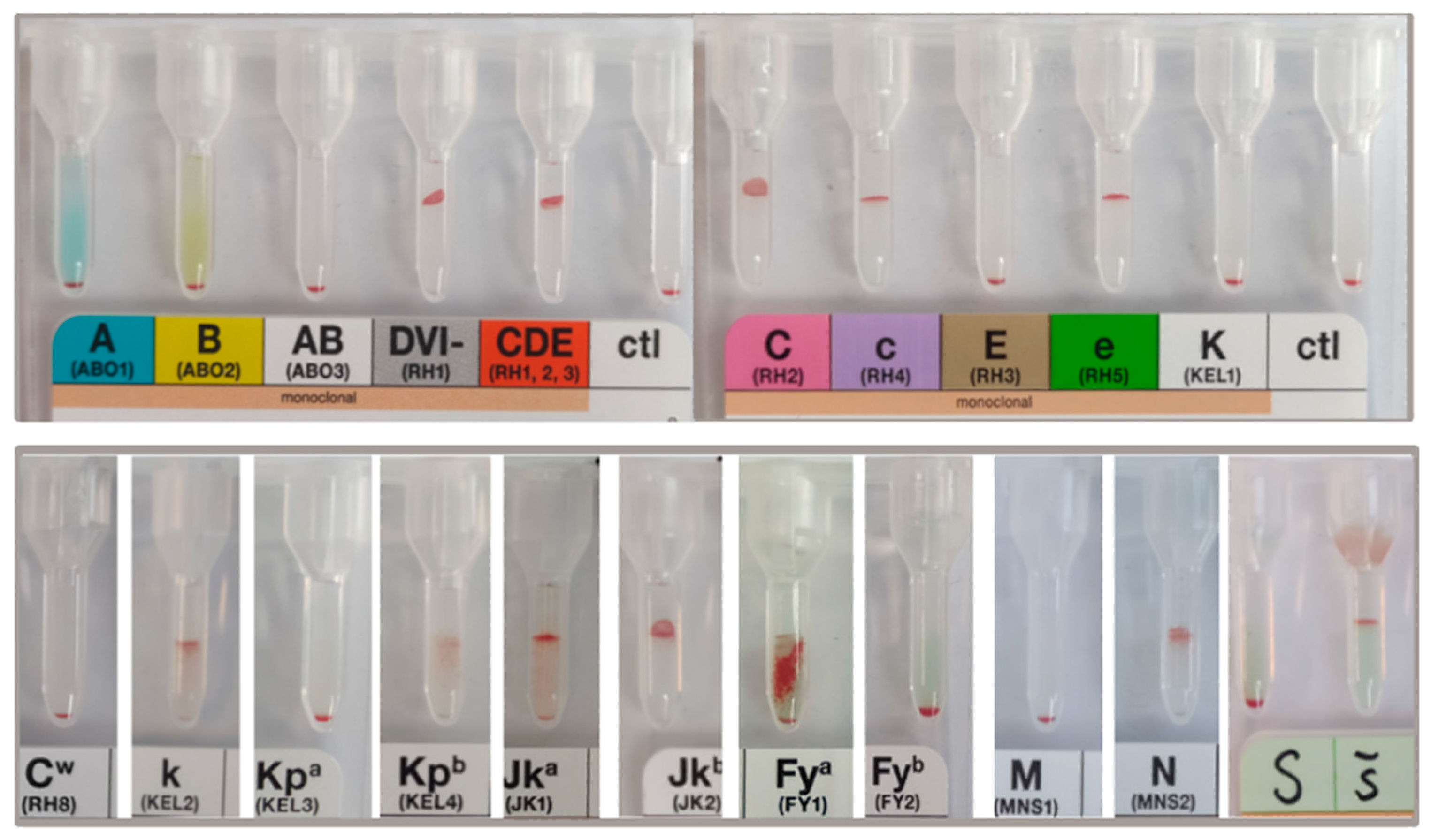 Cells 11 02473 g008 Cells 11 02473 g008