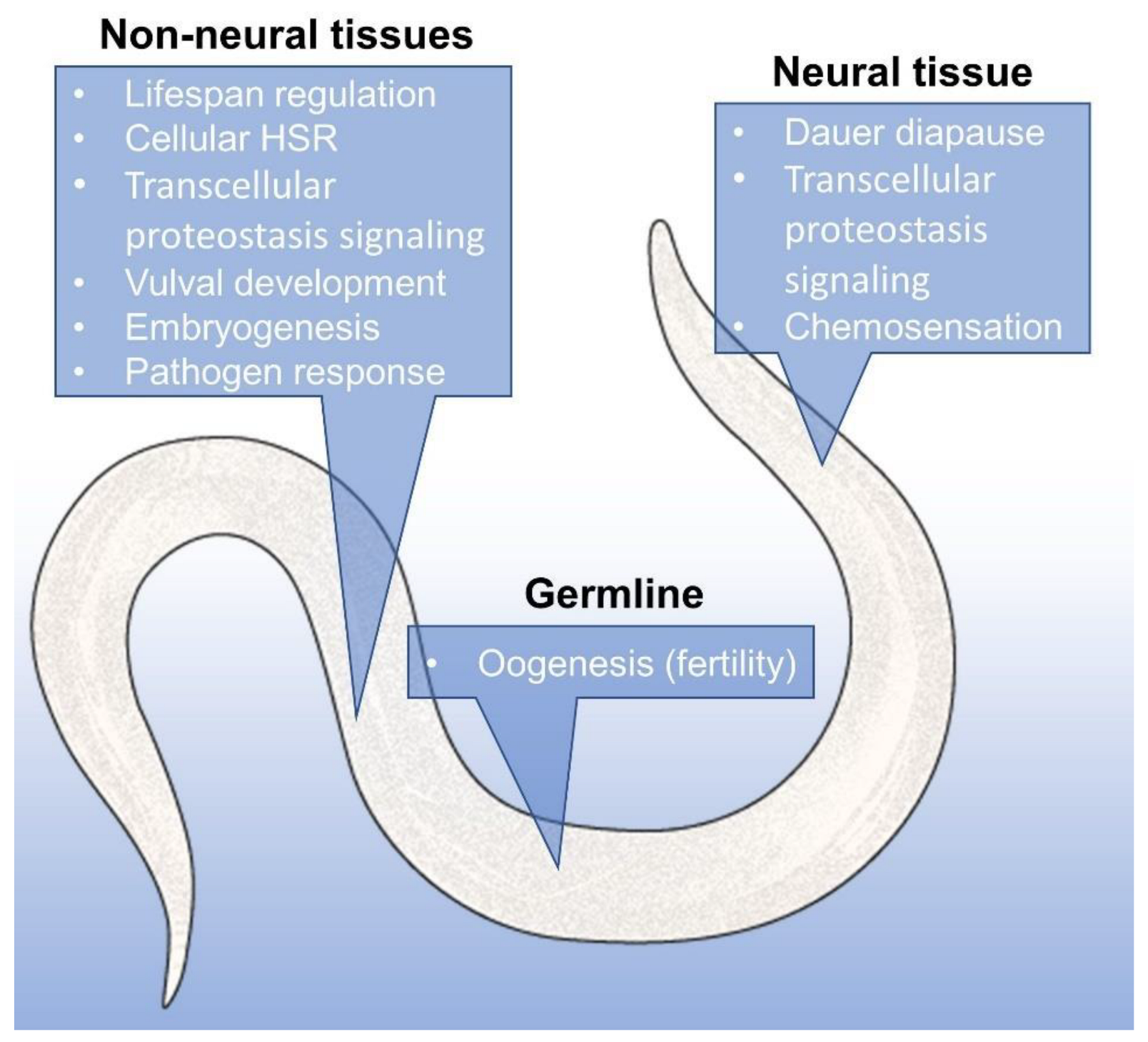 Cells 11 02479 g004 Cells 11 02479 g004