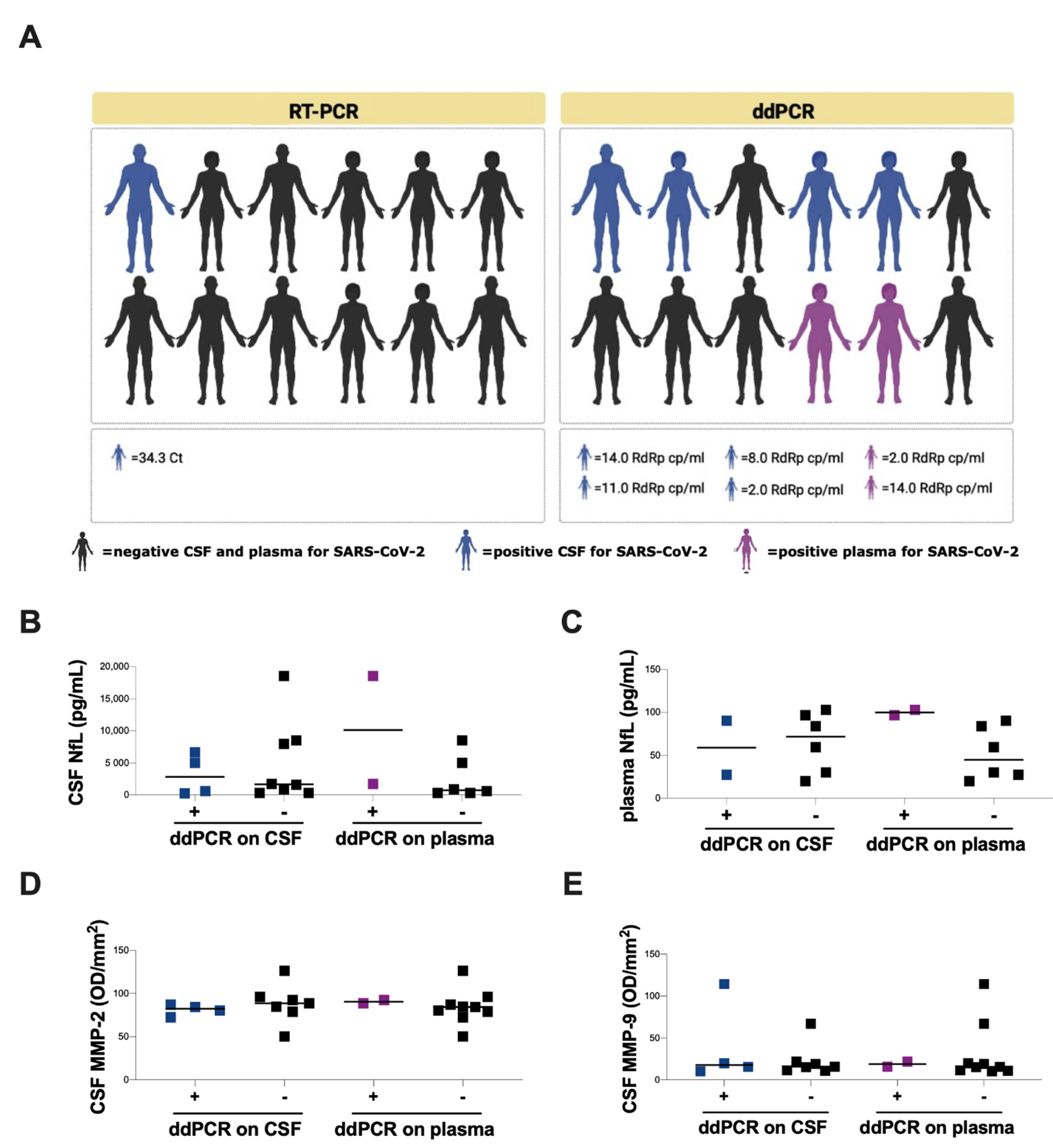 Cells 11 02480 g004 550