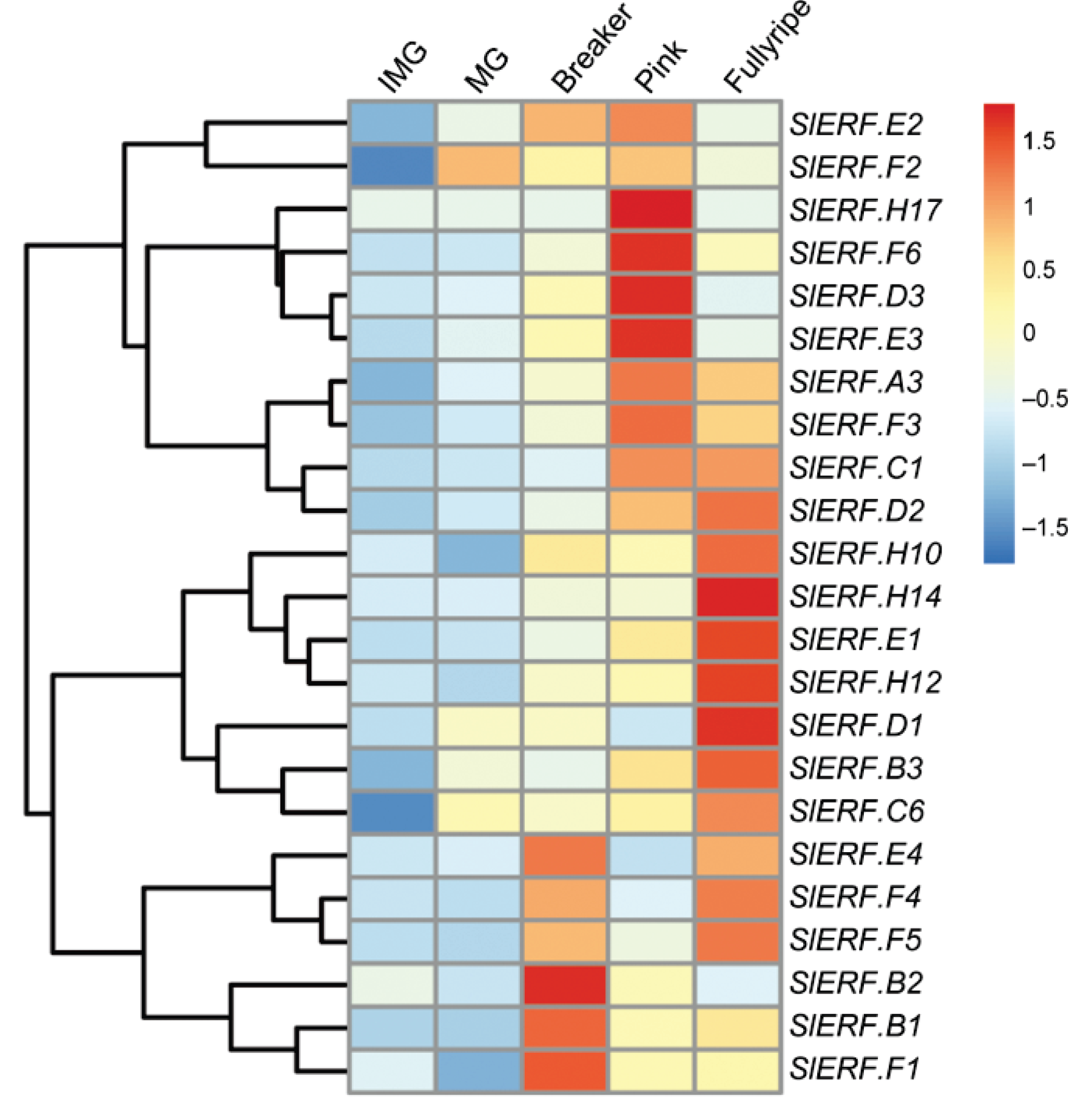 Cells 11 02484 g002 550