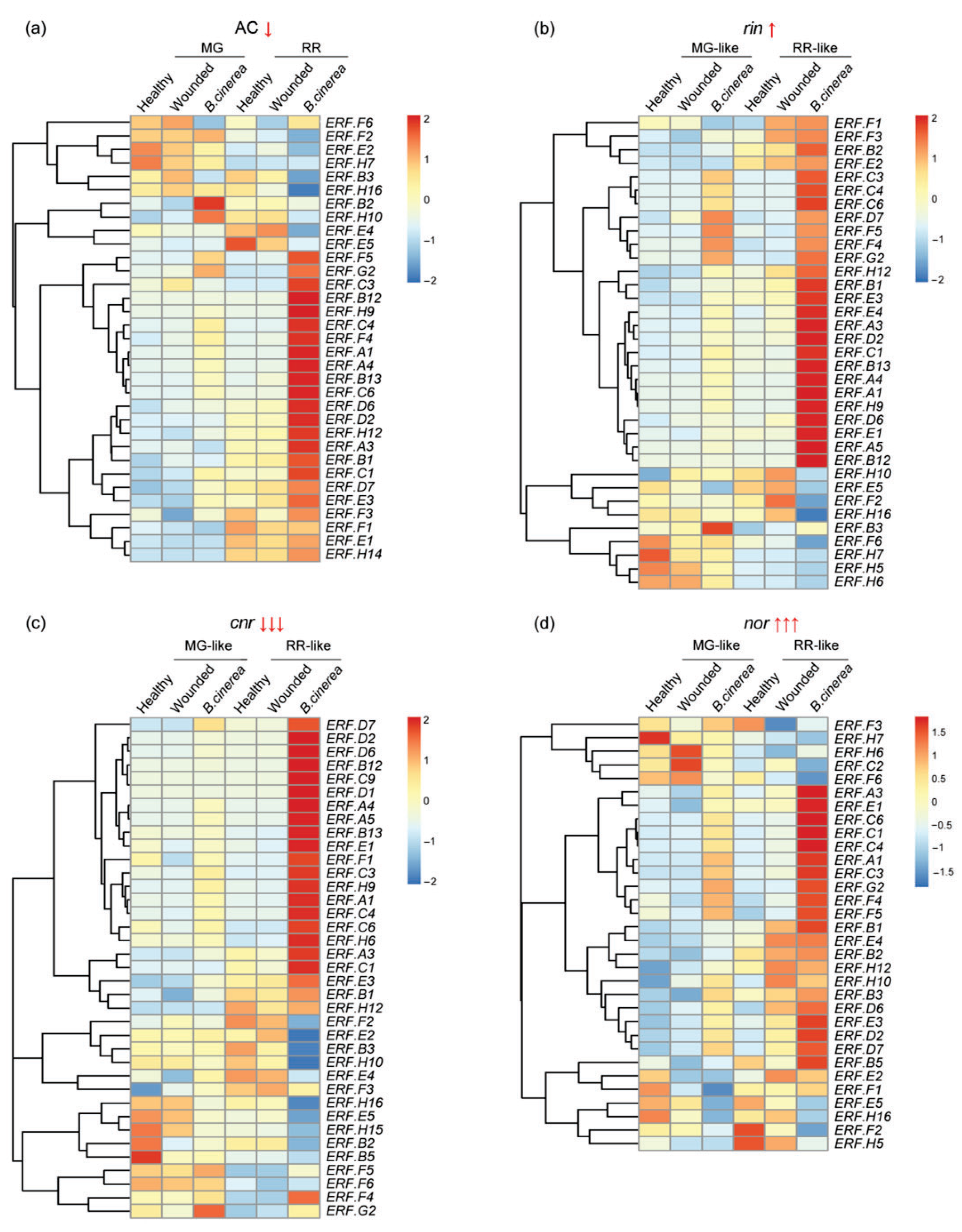 Cells 11 02484 g003 550