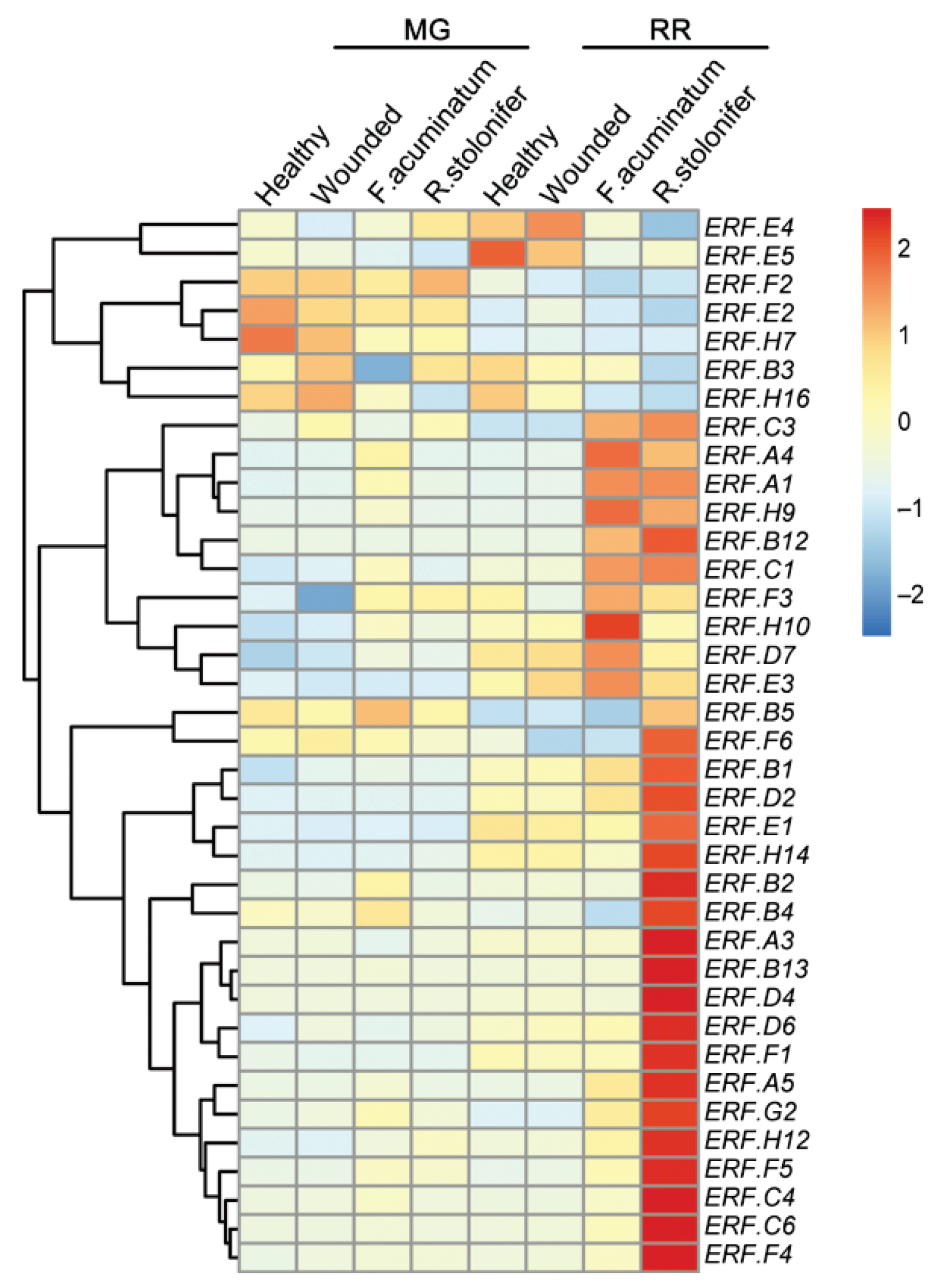 Cells 11 02484 g004 550