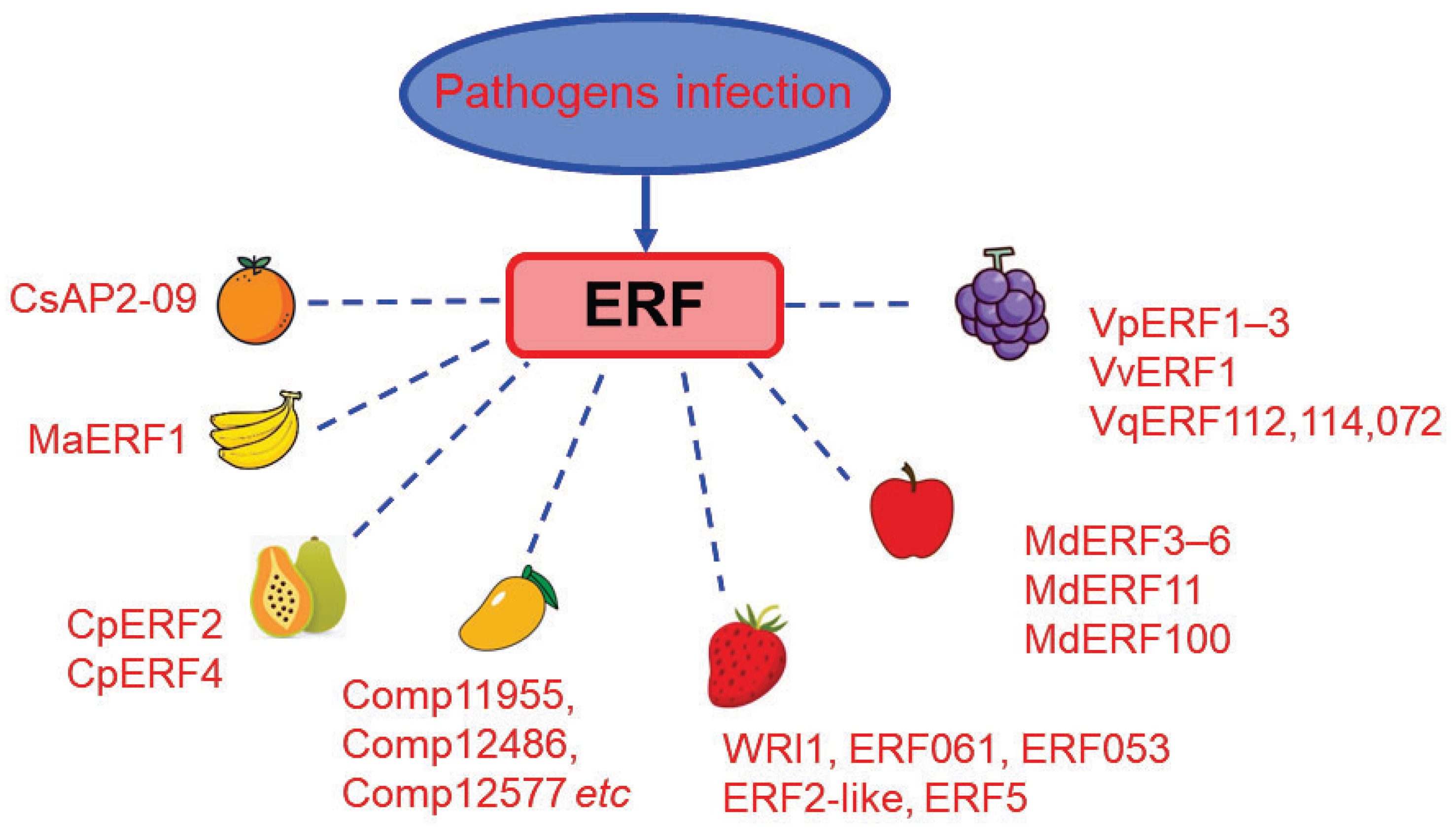 Cells 11 02484 g006 550
