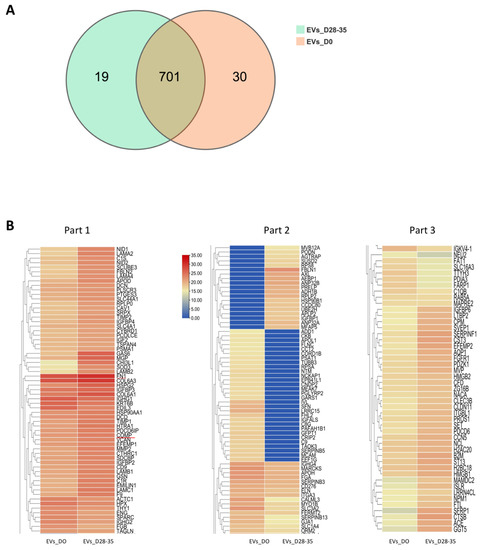 Effects of Extracellular Vesicles from Osteogenic