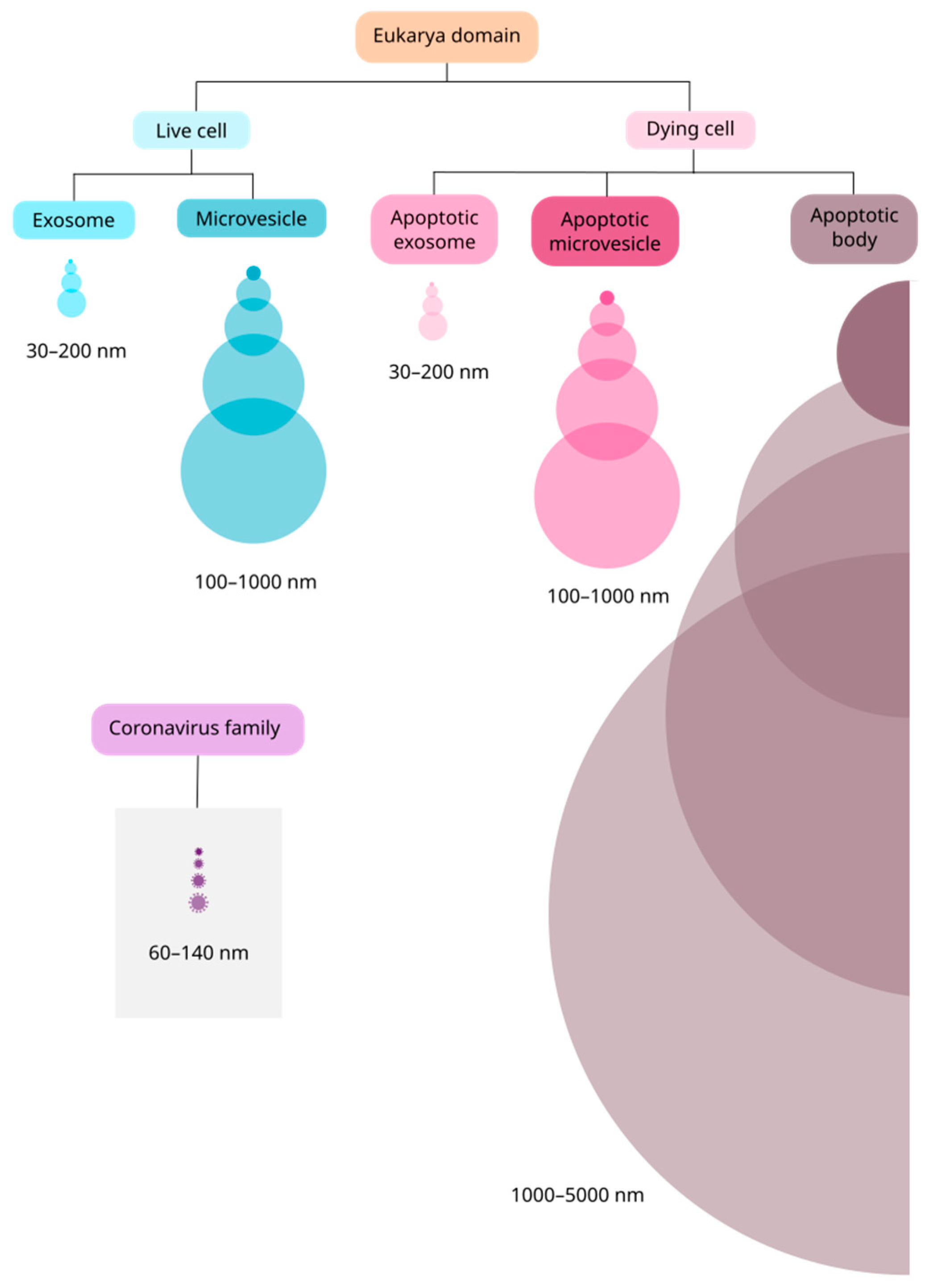 Cells 11 02496 g001 Cells 11 02496 g001