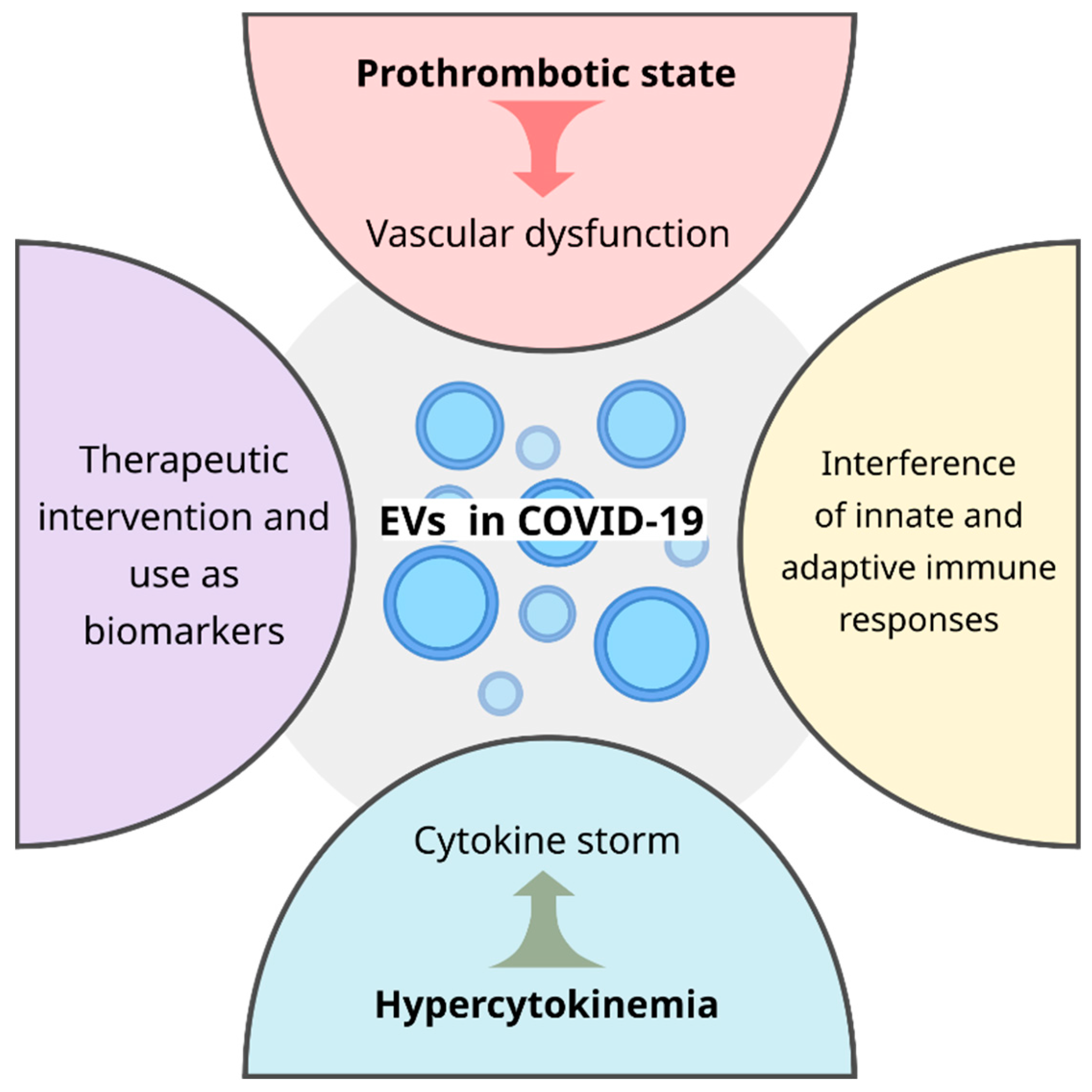 Cells 11 02496 g002 Cells 11 02496 g002
