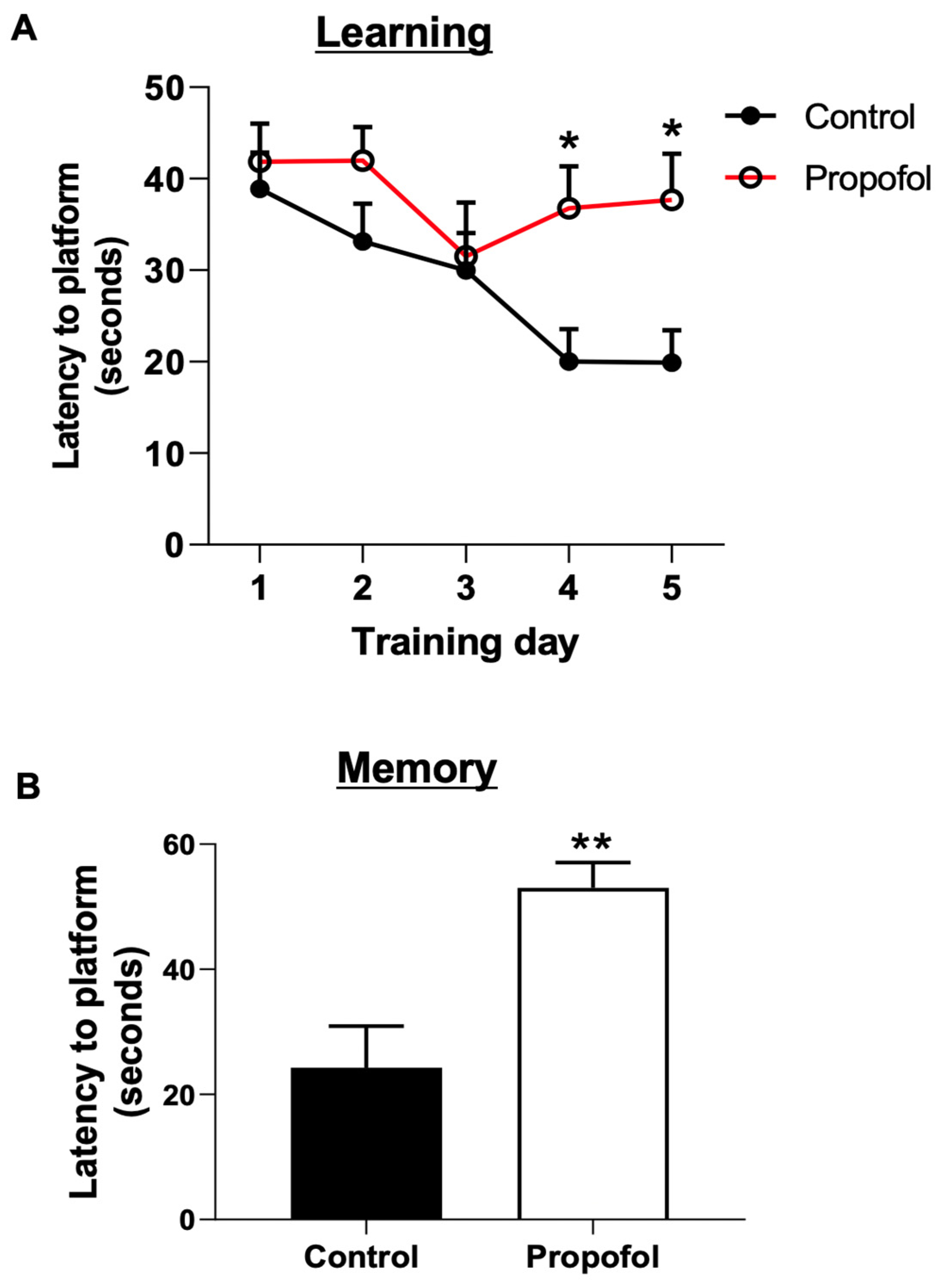 Cells 11 02497 g002 Cells 11 02497 g002
