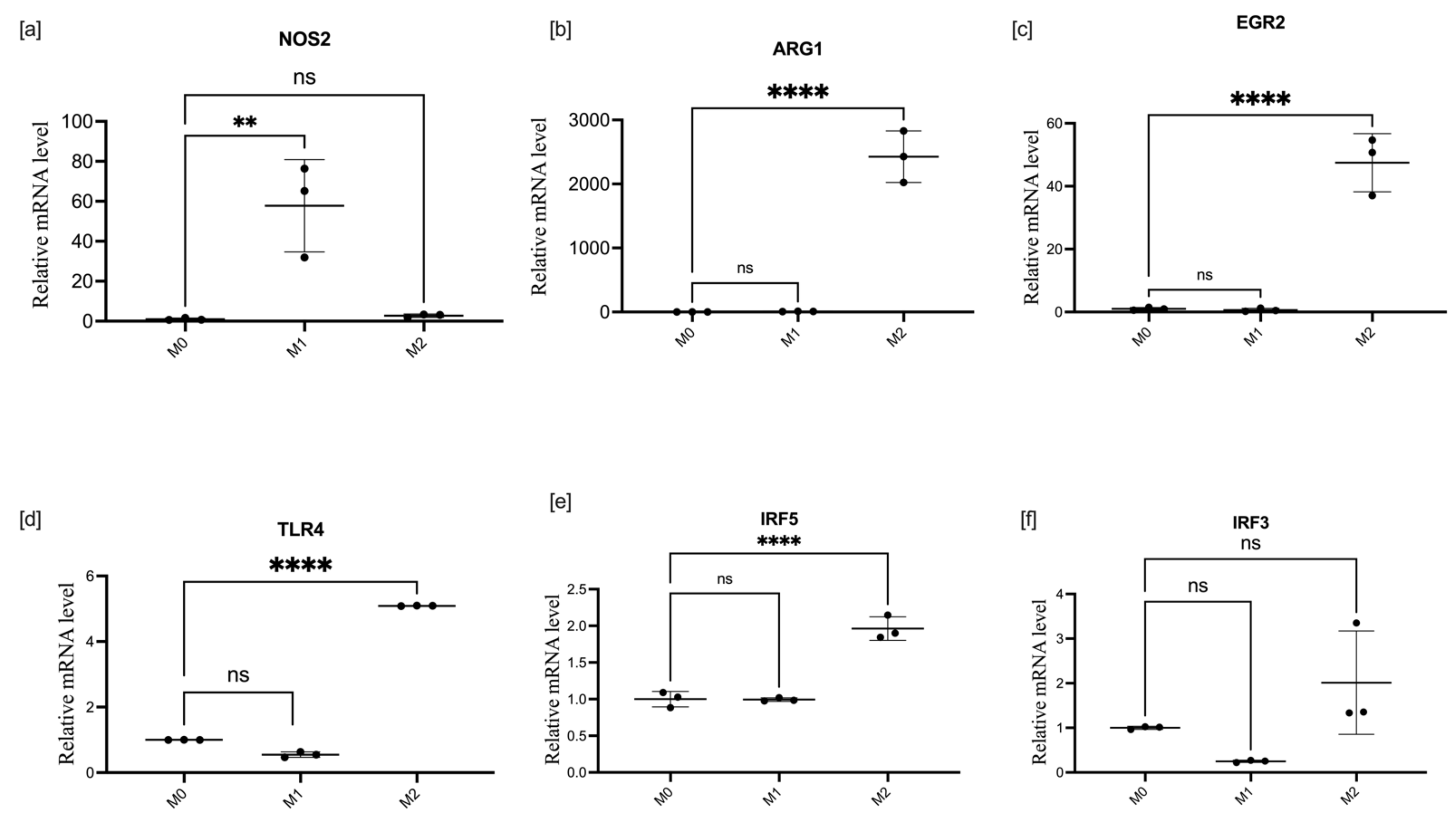 Cells 11 02498 g001 550
