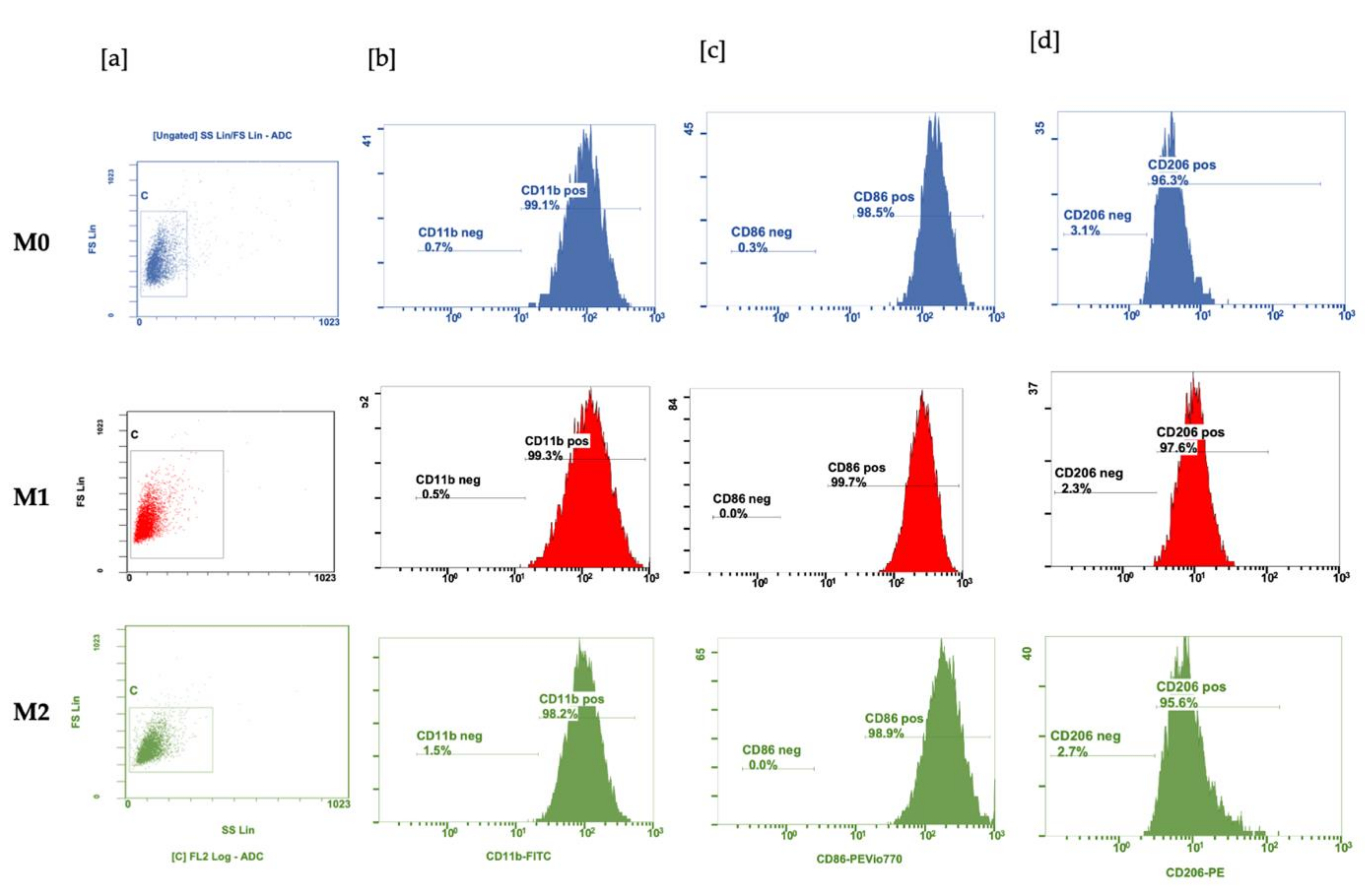Cells 11 02498 g002 550