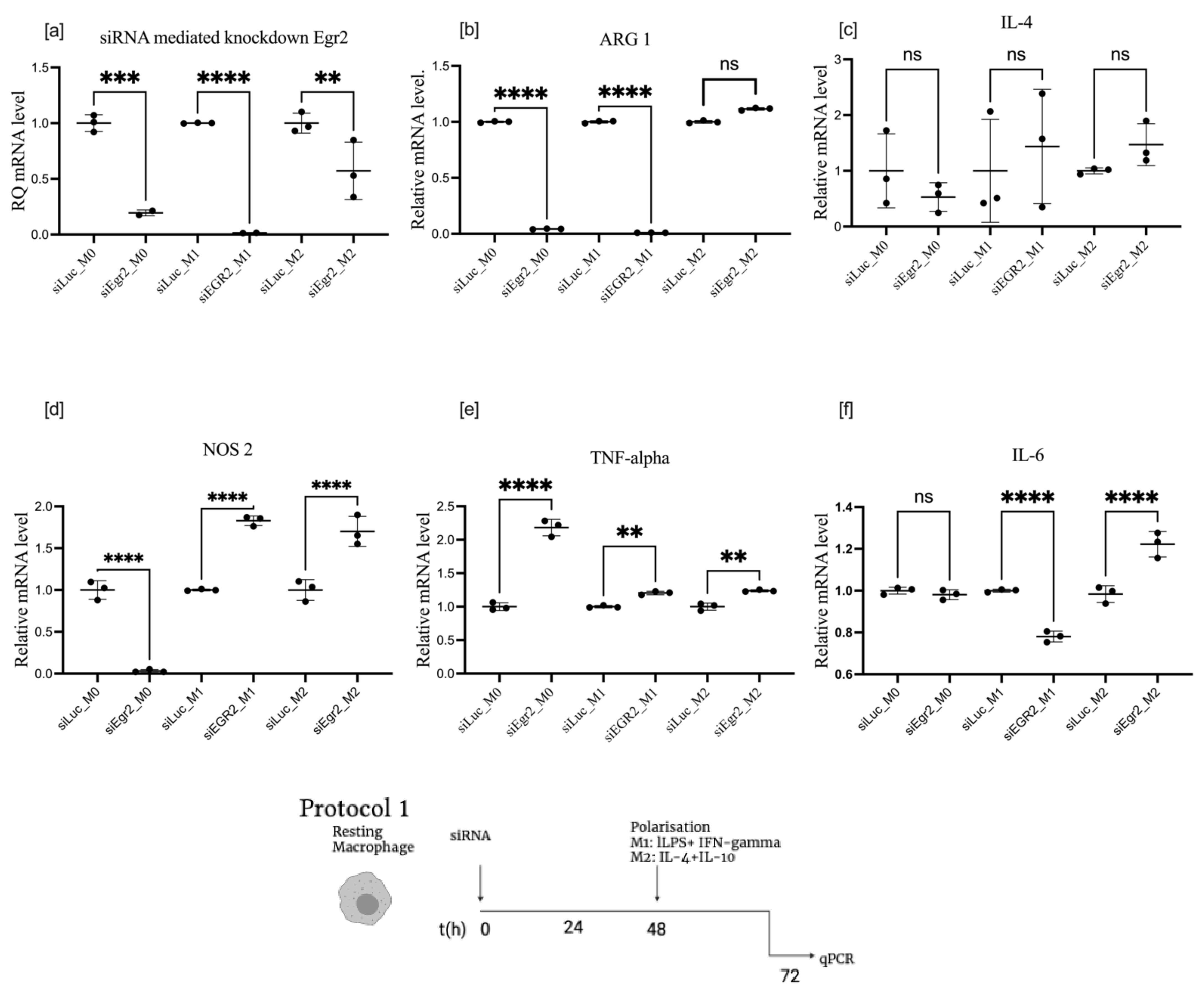 Cells 11 02498 g003 550