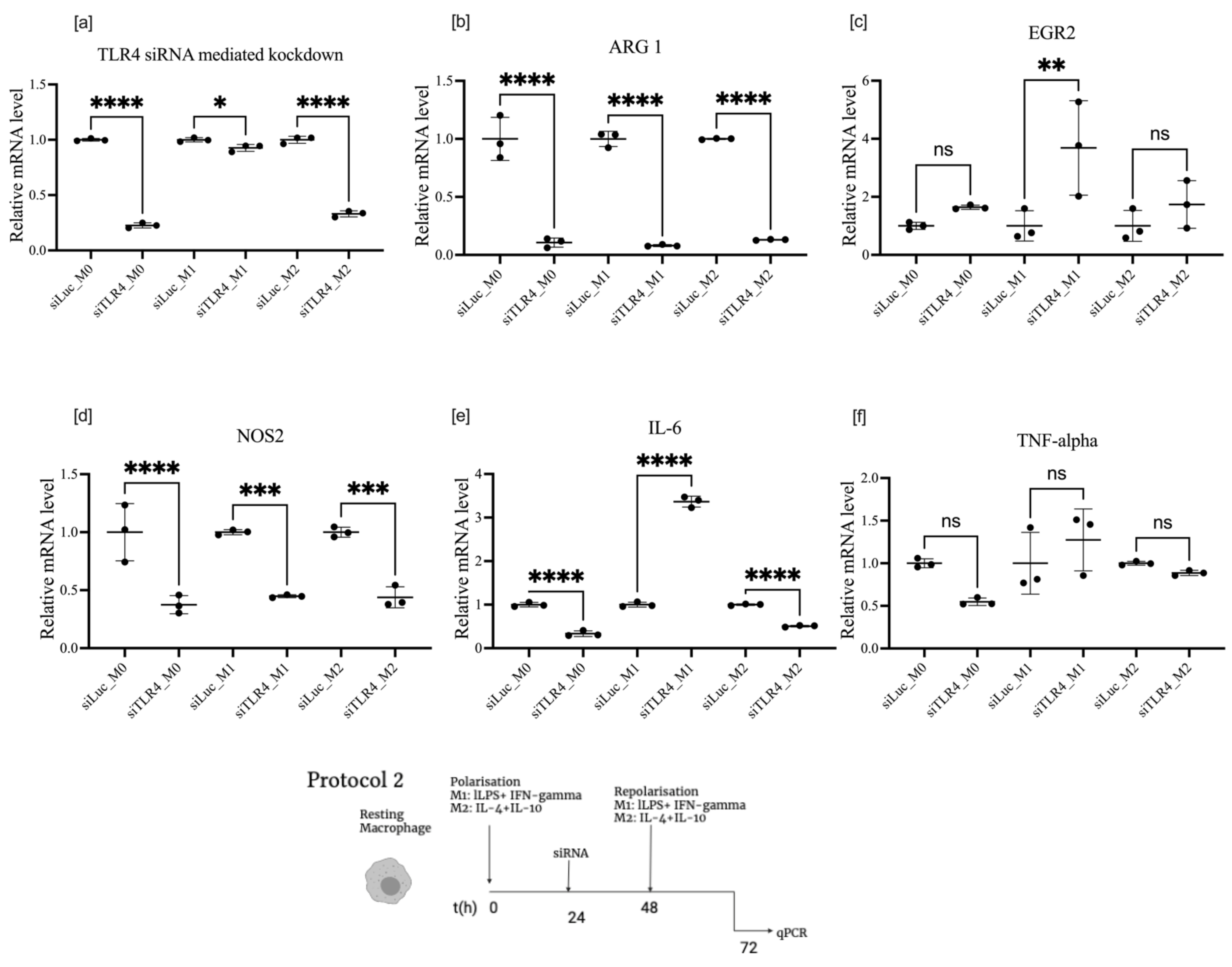 Cells 11 02498 g004 550