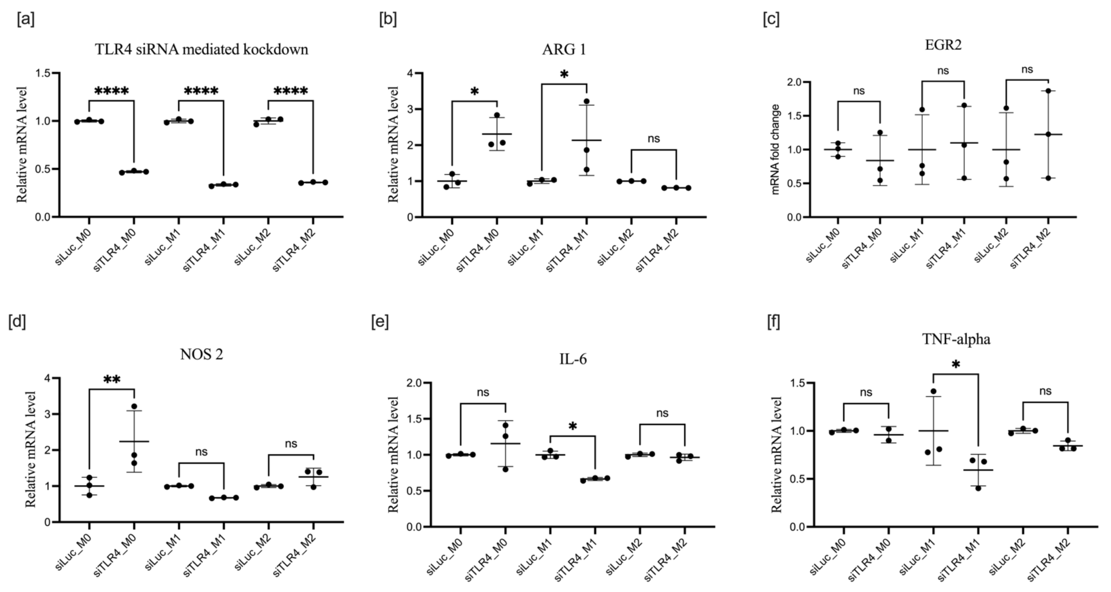 Cells 11 02498 g005 550
