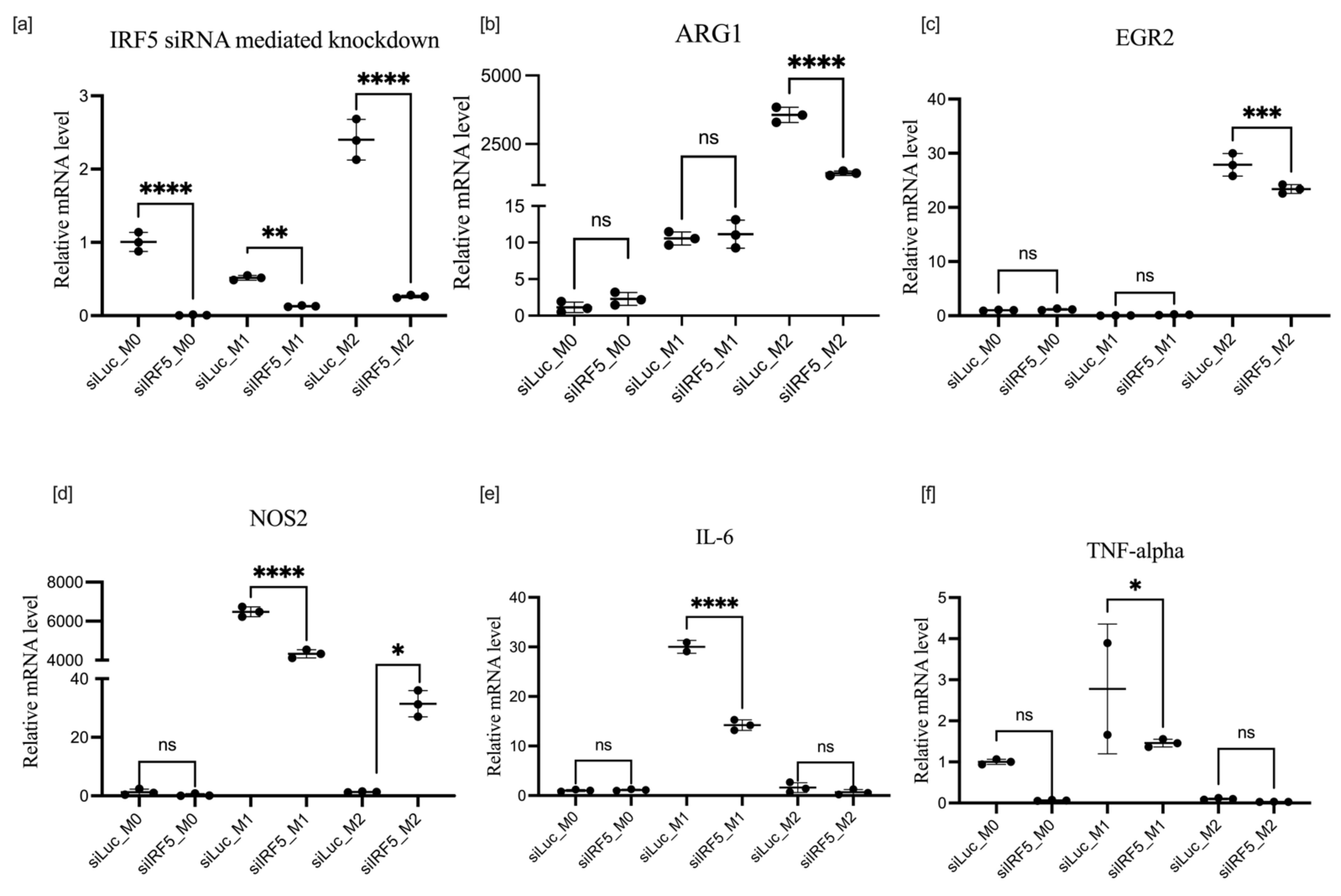 Cells 11 02498 g006 550