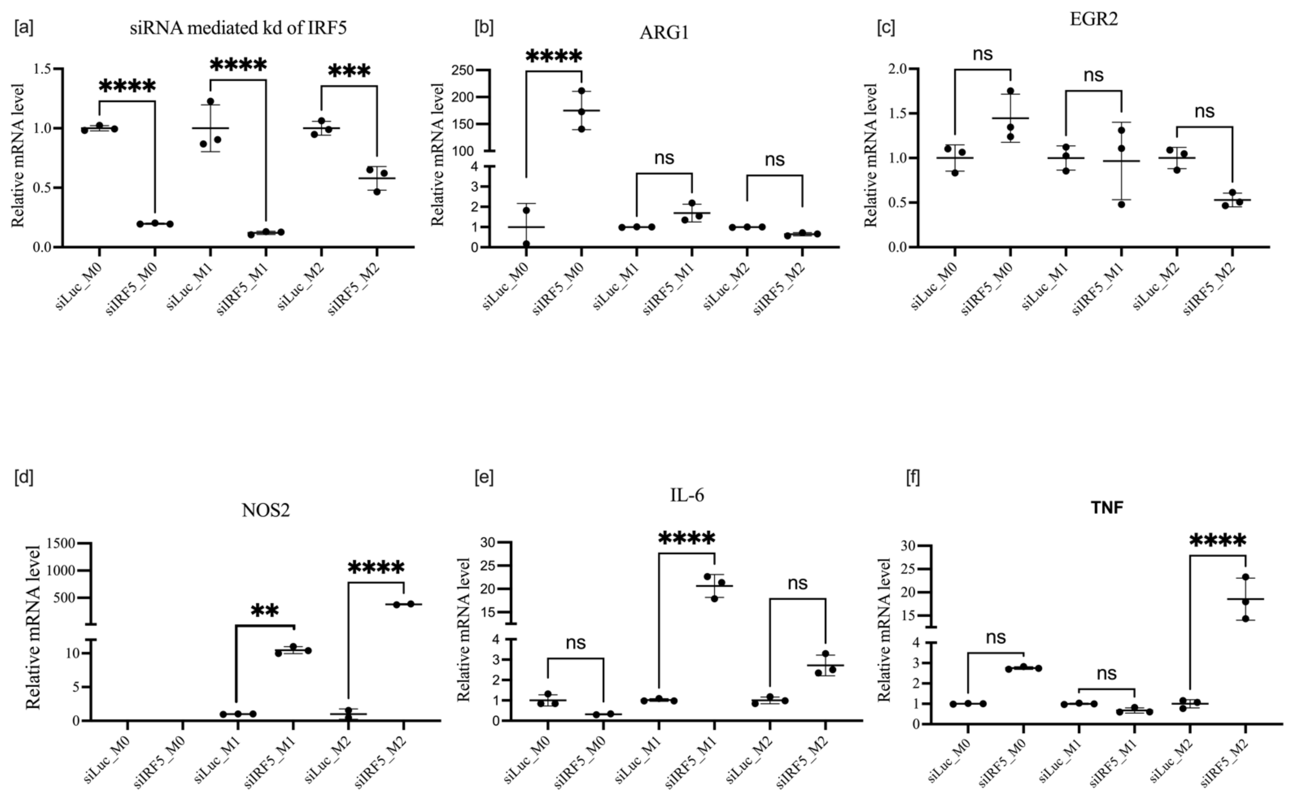 Cells 11 02498 g007 550