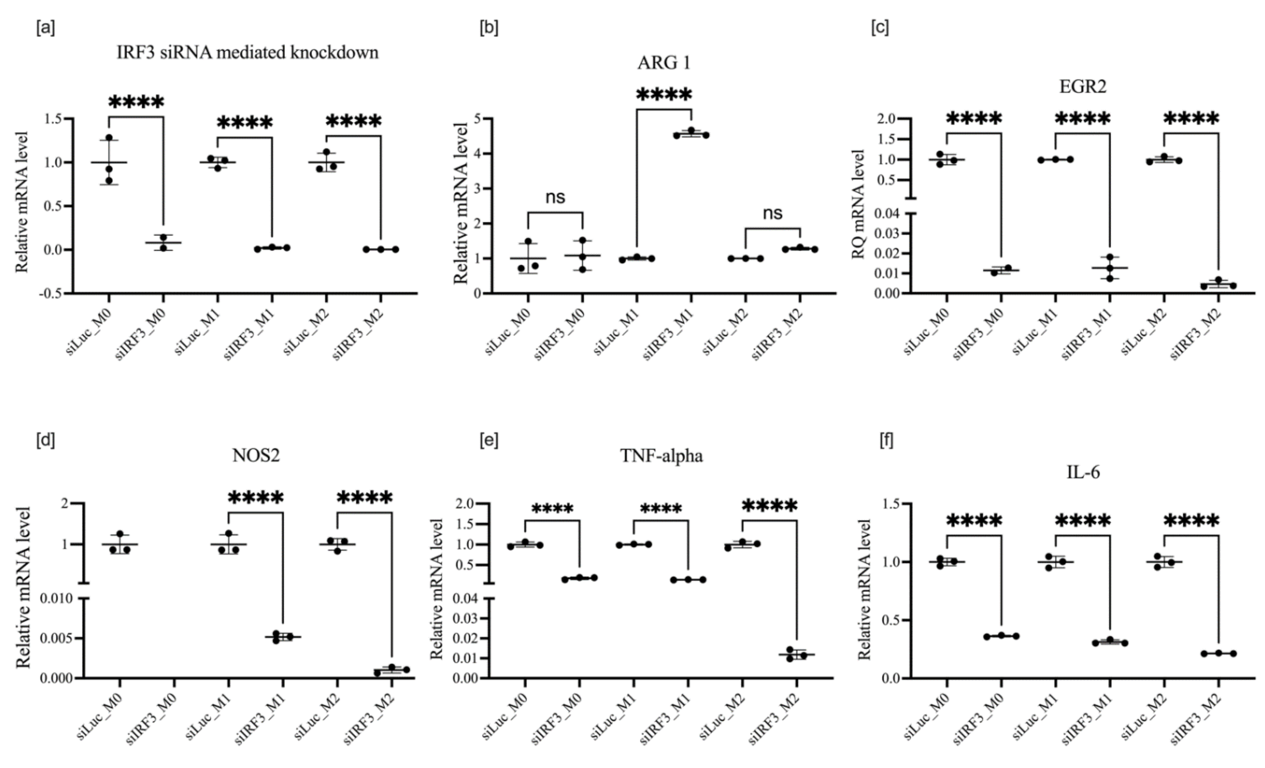 Cells 11 02498 g008 550