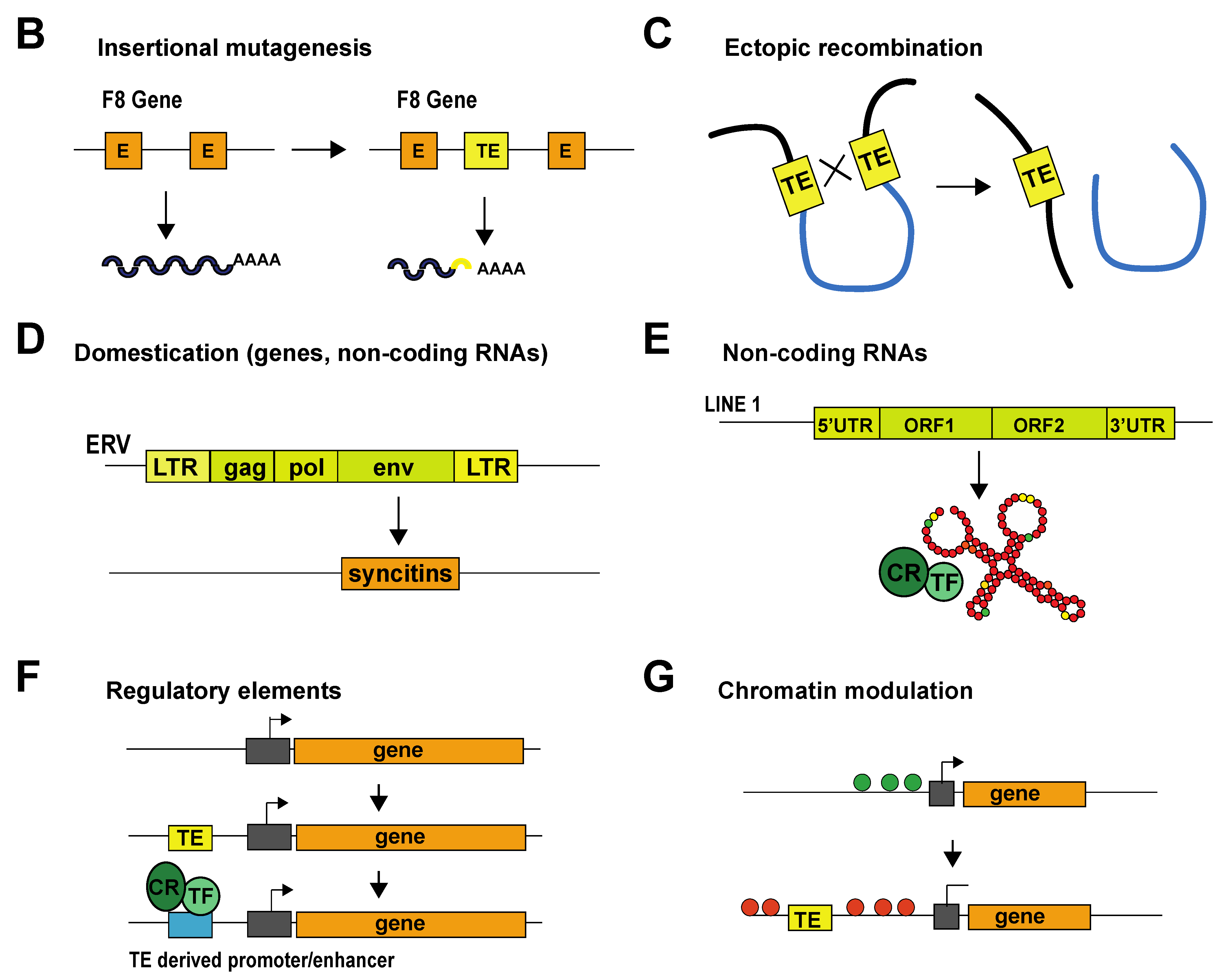 Cells 11 02501 g001b 550