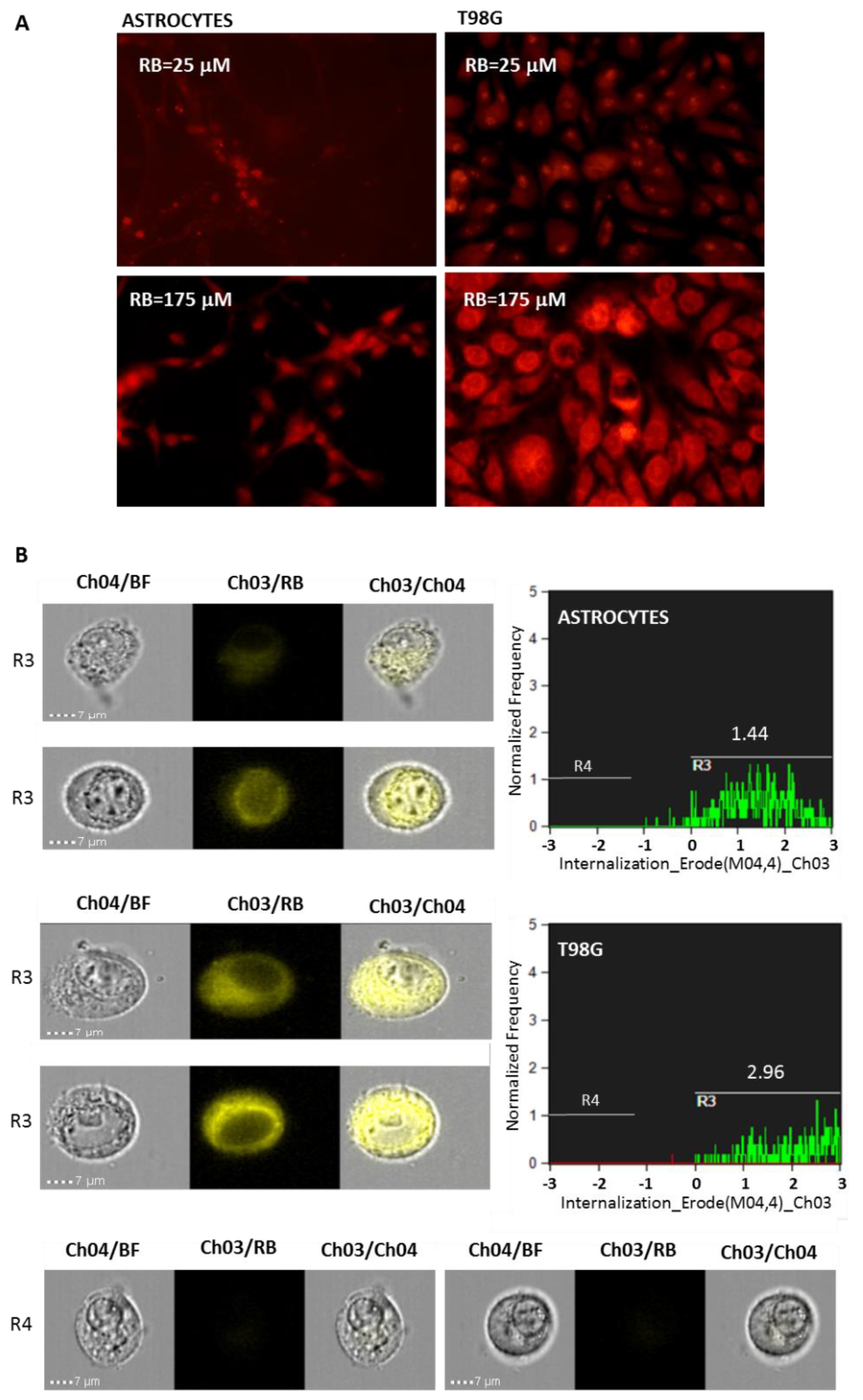 Cells 11 02502 g002 Cells 11 02502 g002
