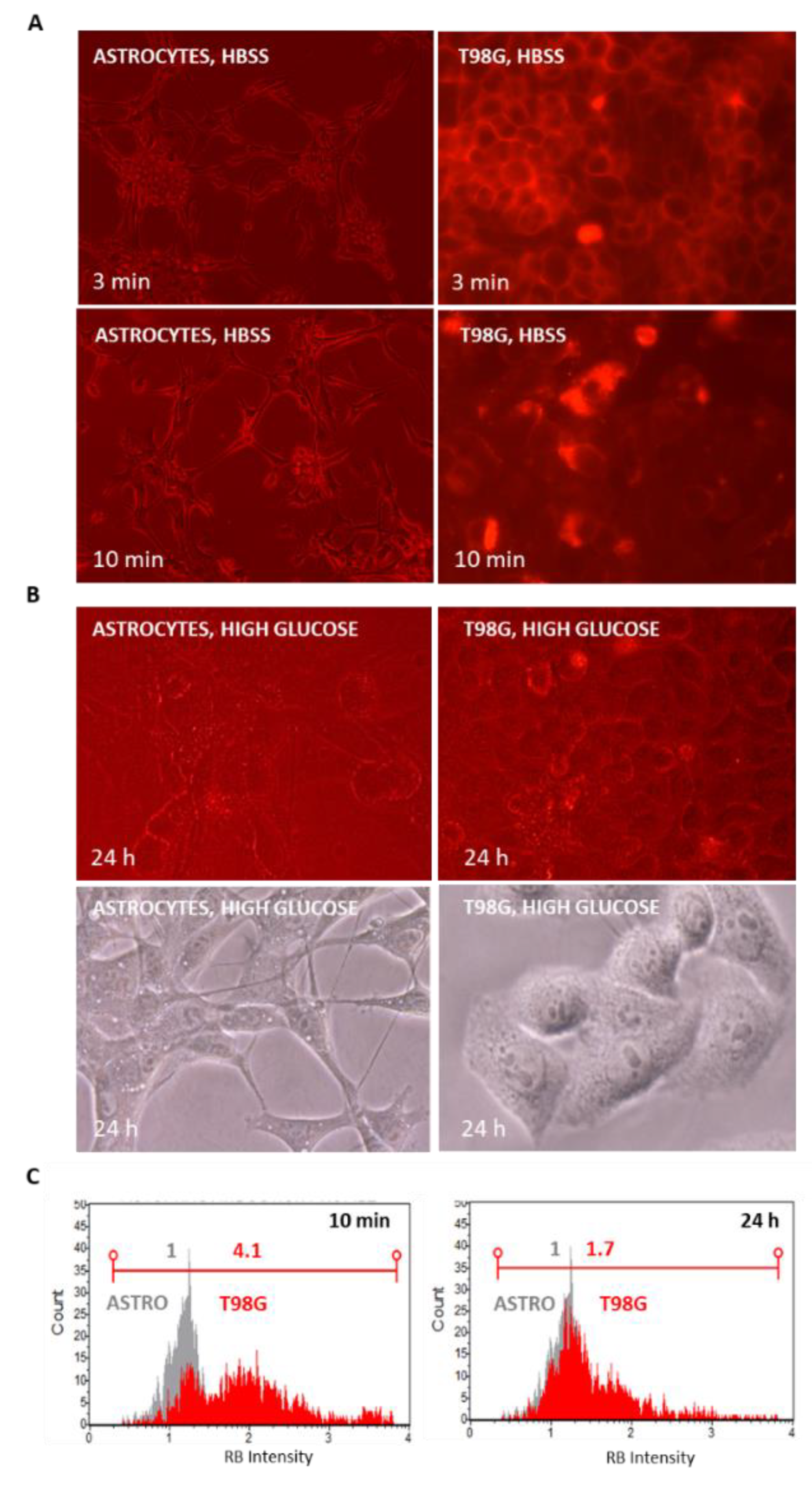 Cells 11 02502 g005 Cells 11 02502 g005