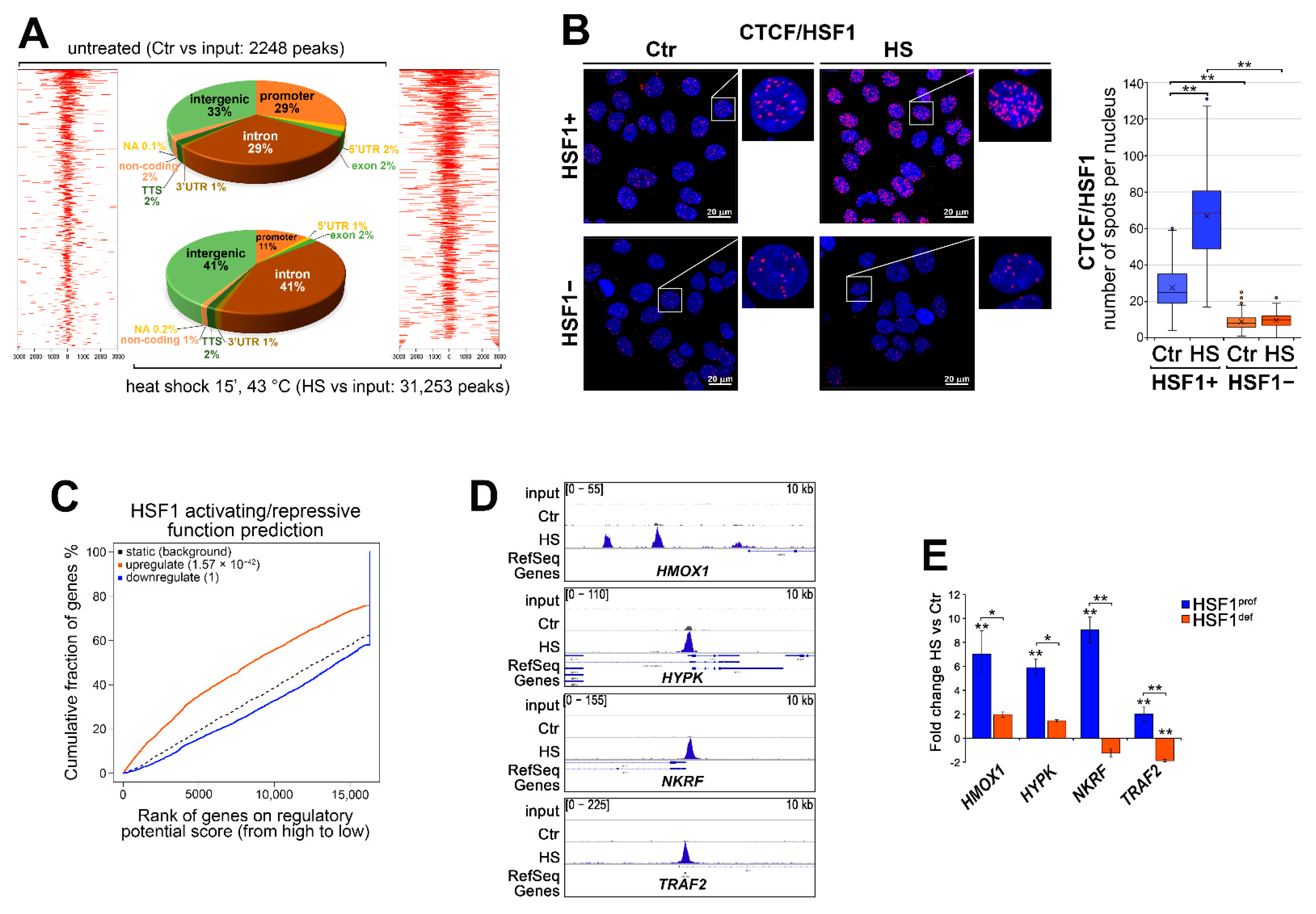 Cells 11 02510 g003 550