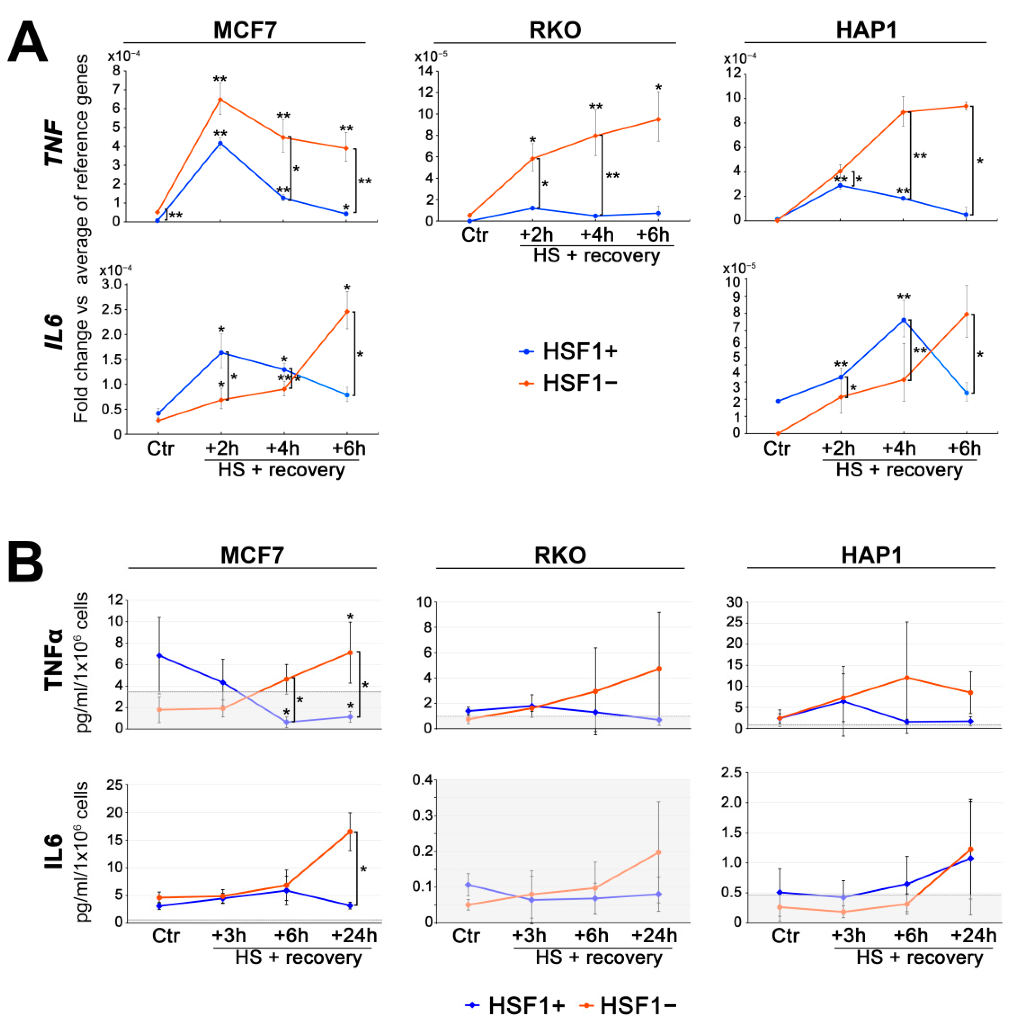 Cells 11 02510 g004 550