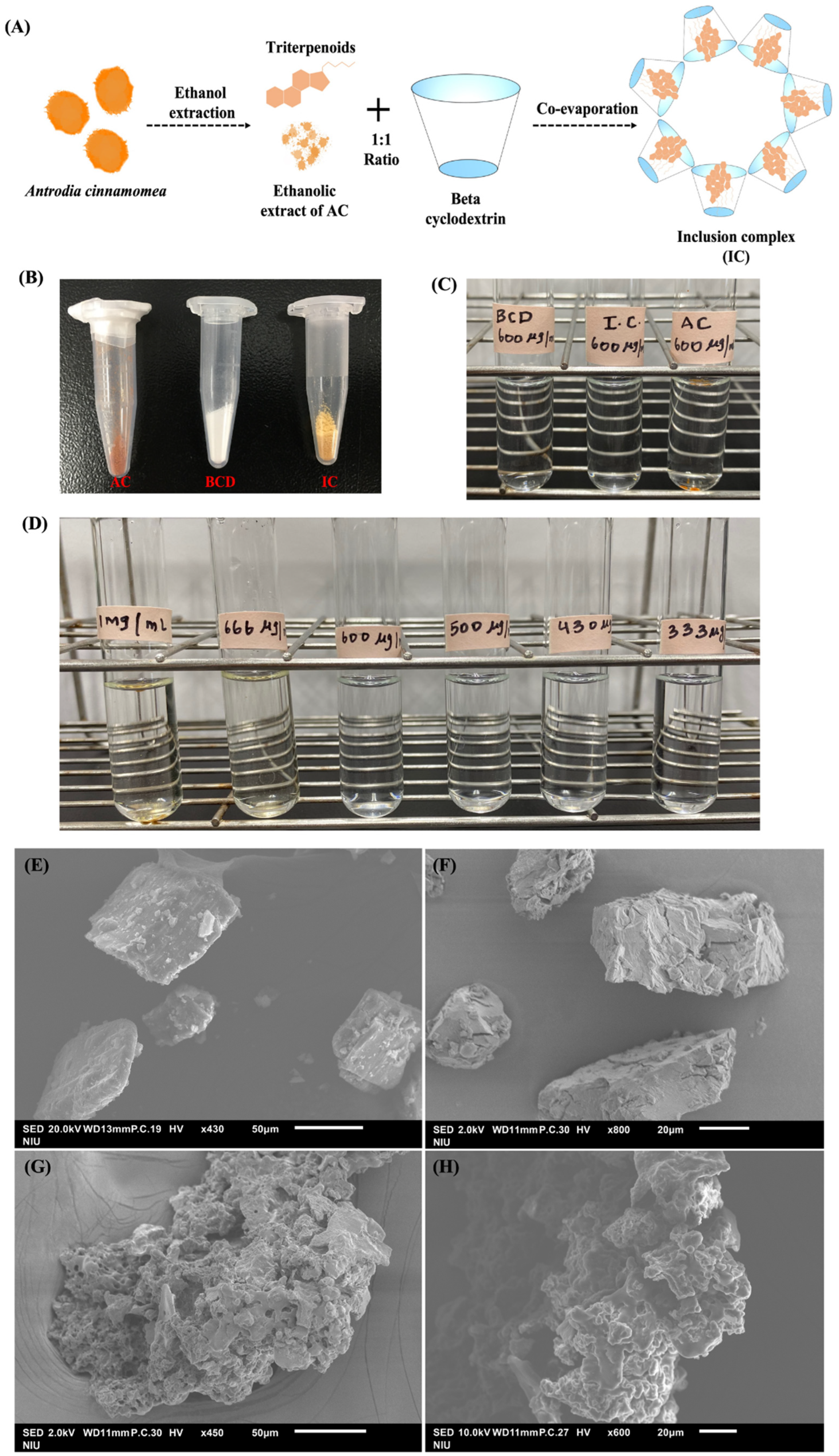 Cells 11 02512 g001 550