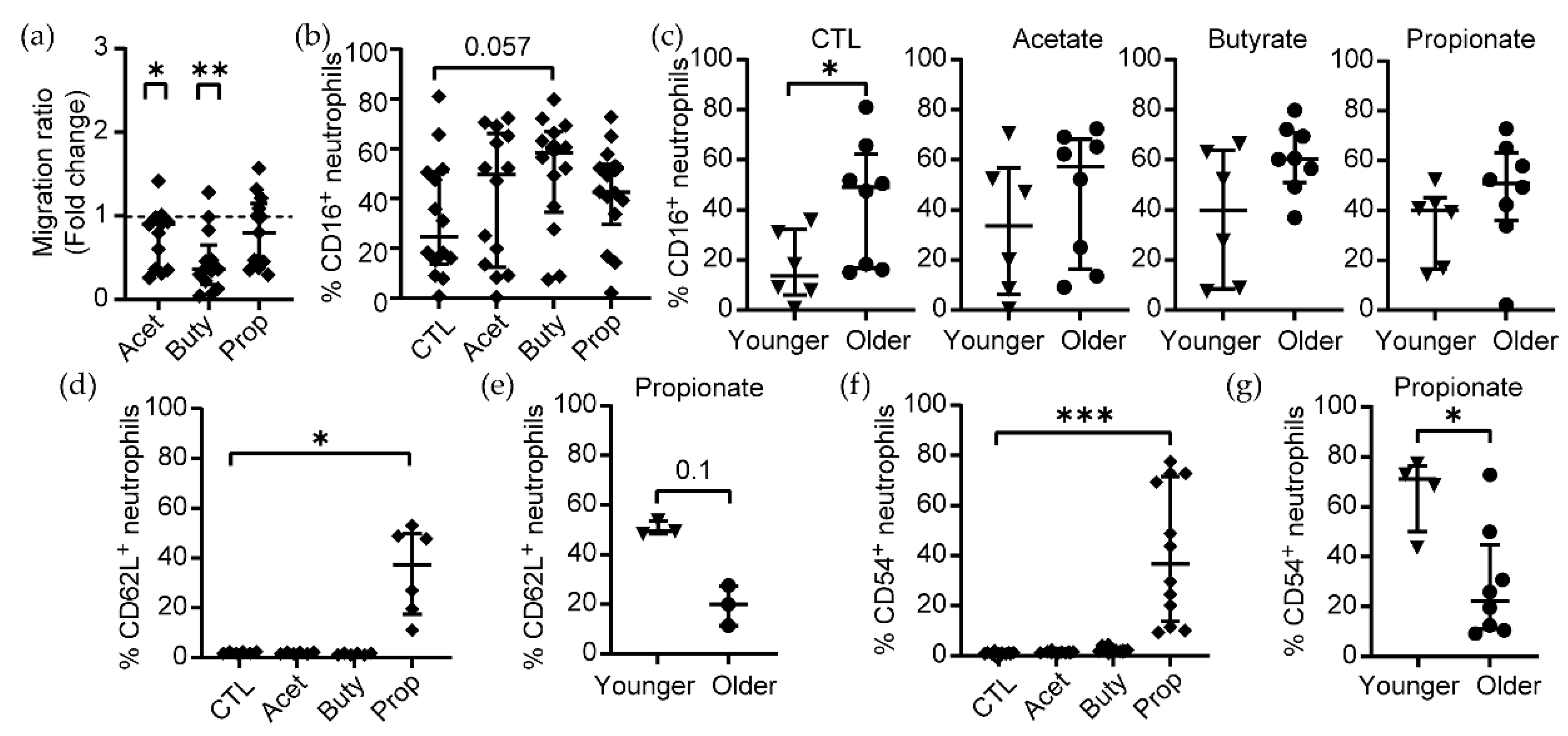 Cells 11 02515 g003 Cells 11 02515 g003
