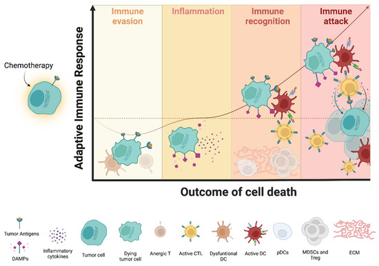 Full article: Epigenetic treatment of multiple myeloma mediates tumor  intrinsic and extrinsic immunomodulatory effects