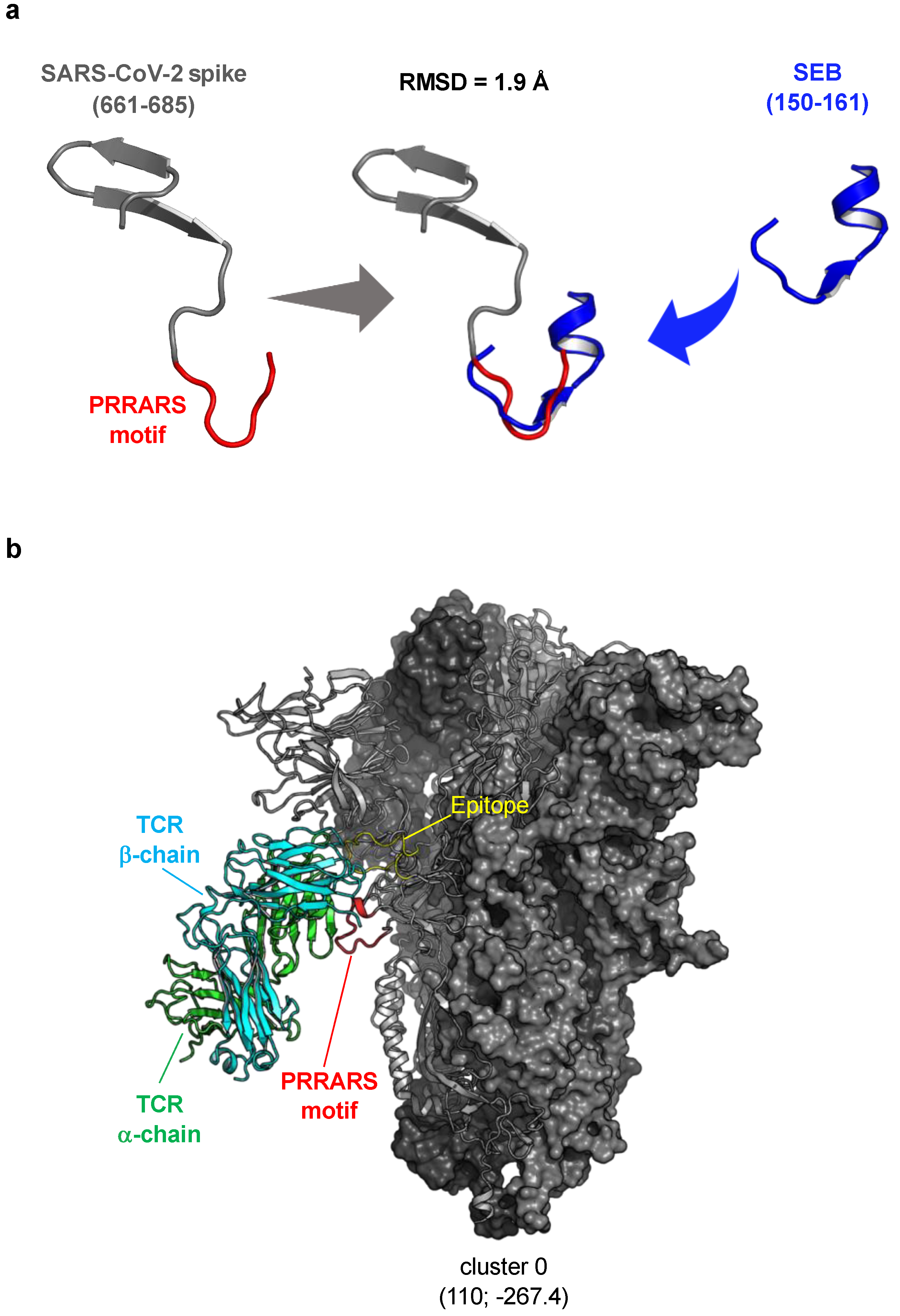 Cells 11 02526 g005 550
