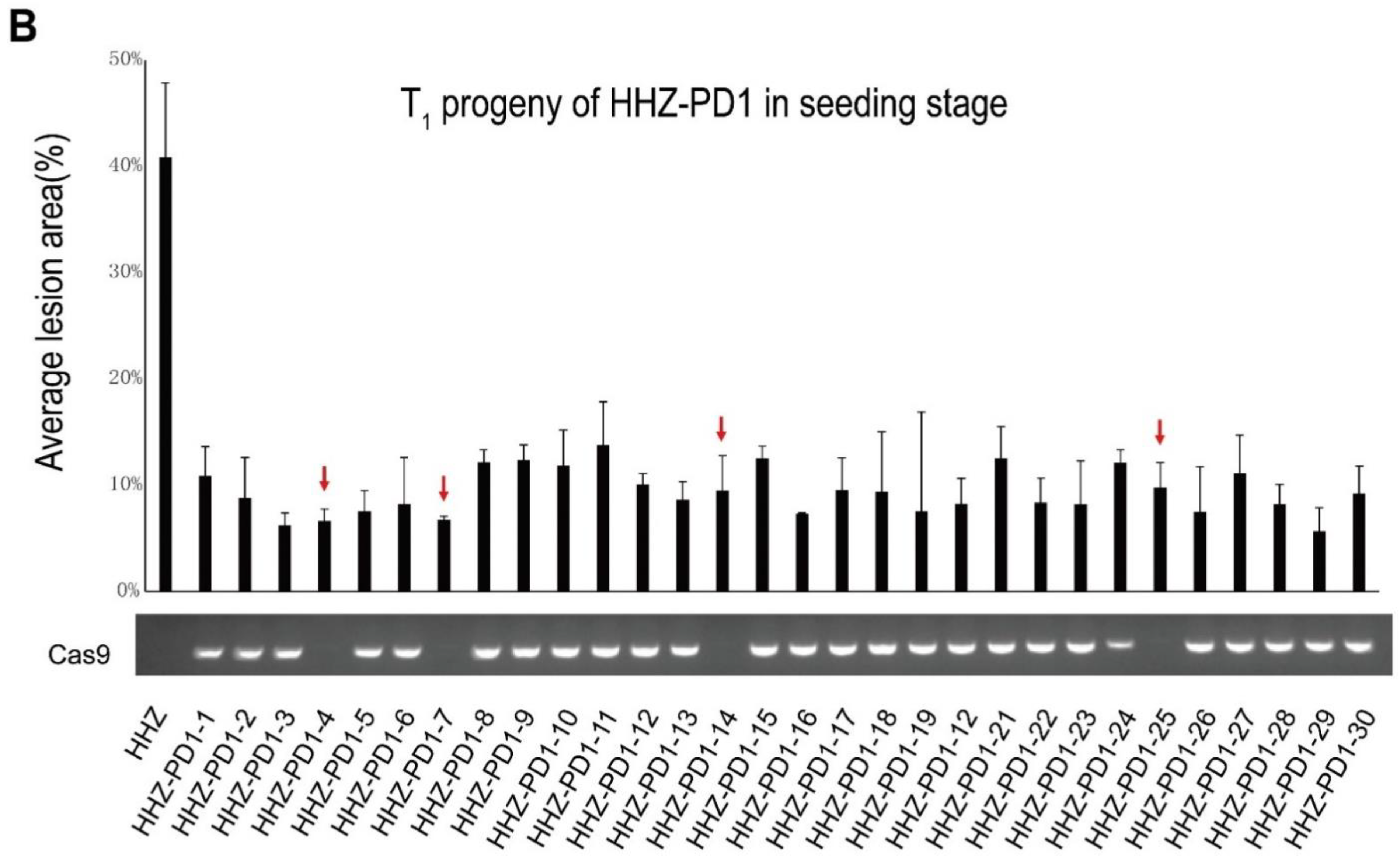 Cells 11 02535 g004b