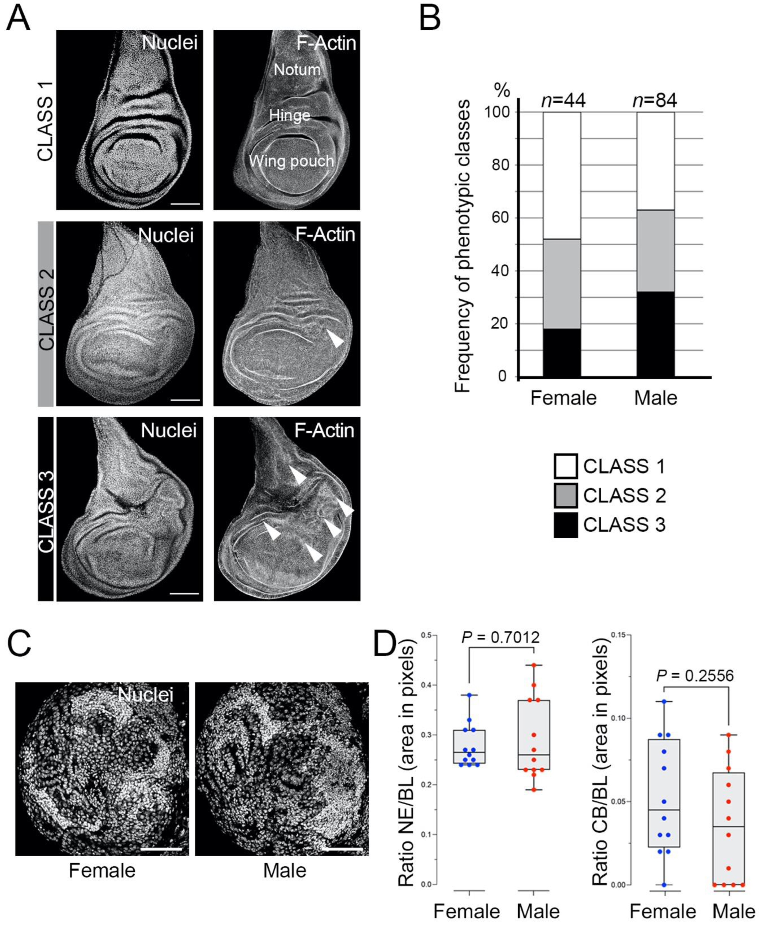 Cells 11 02542 g001 550