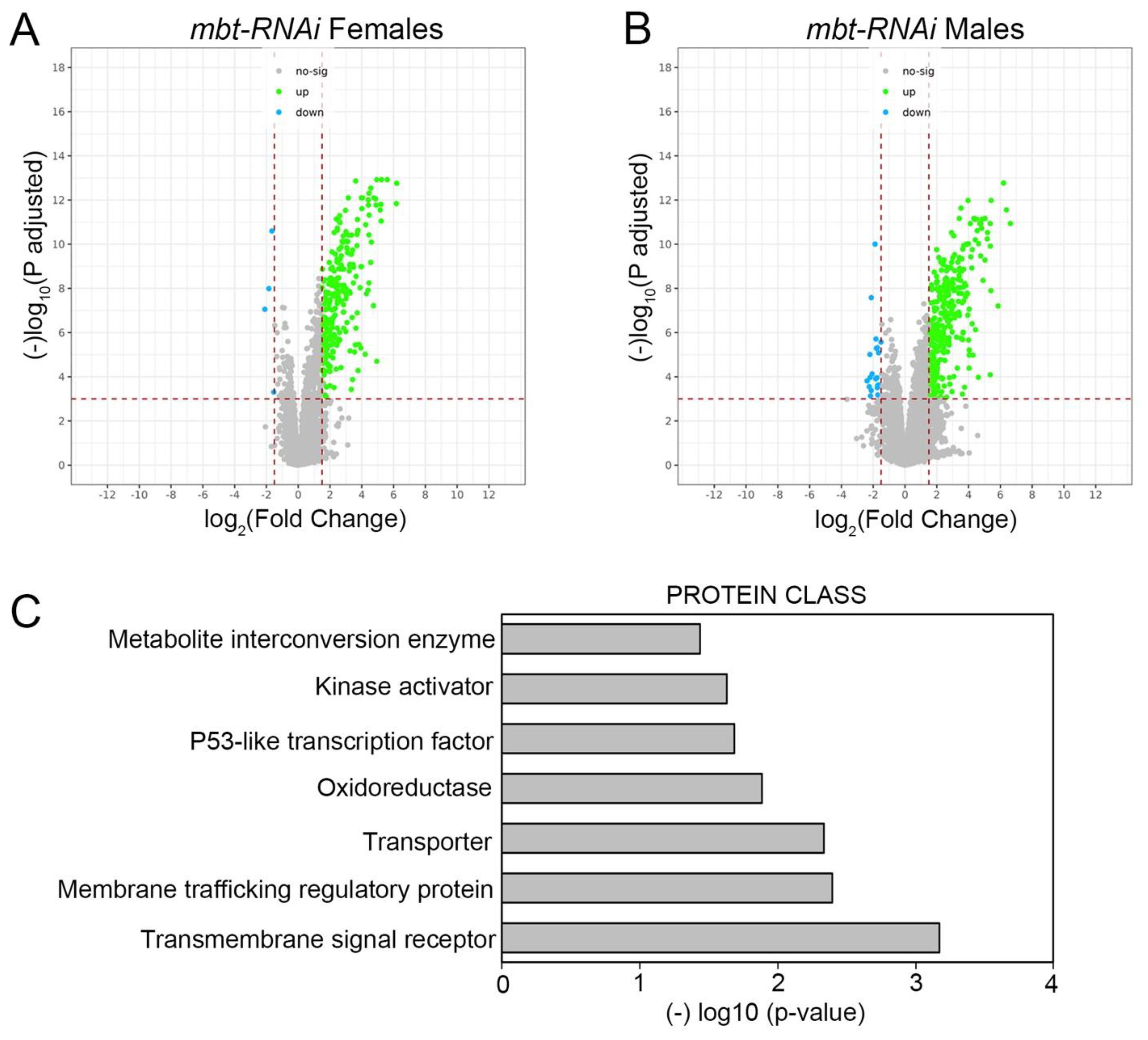 Cells 11 02542 g002 550