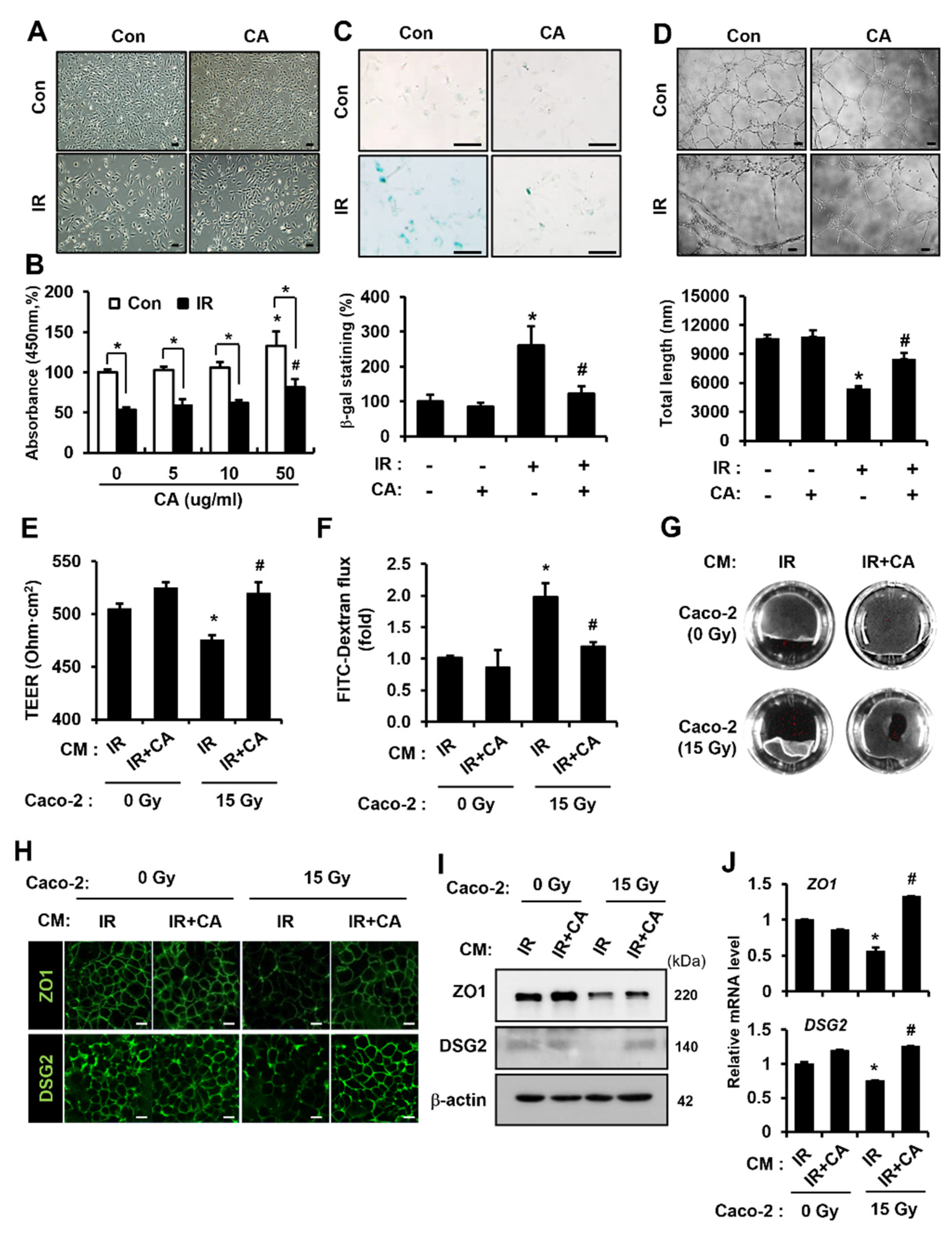Cells 11 02544 g001 550