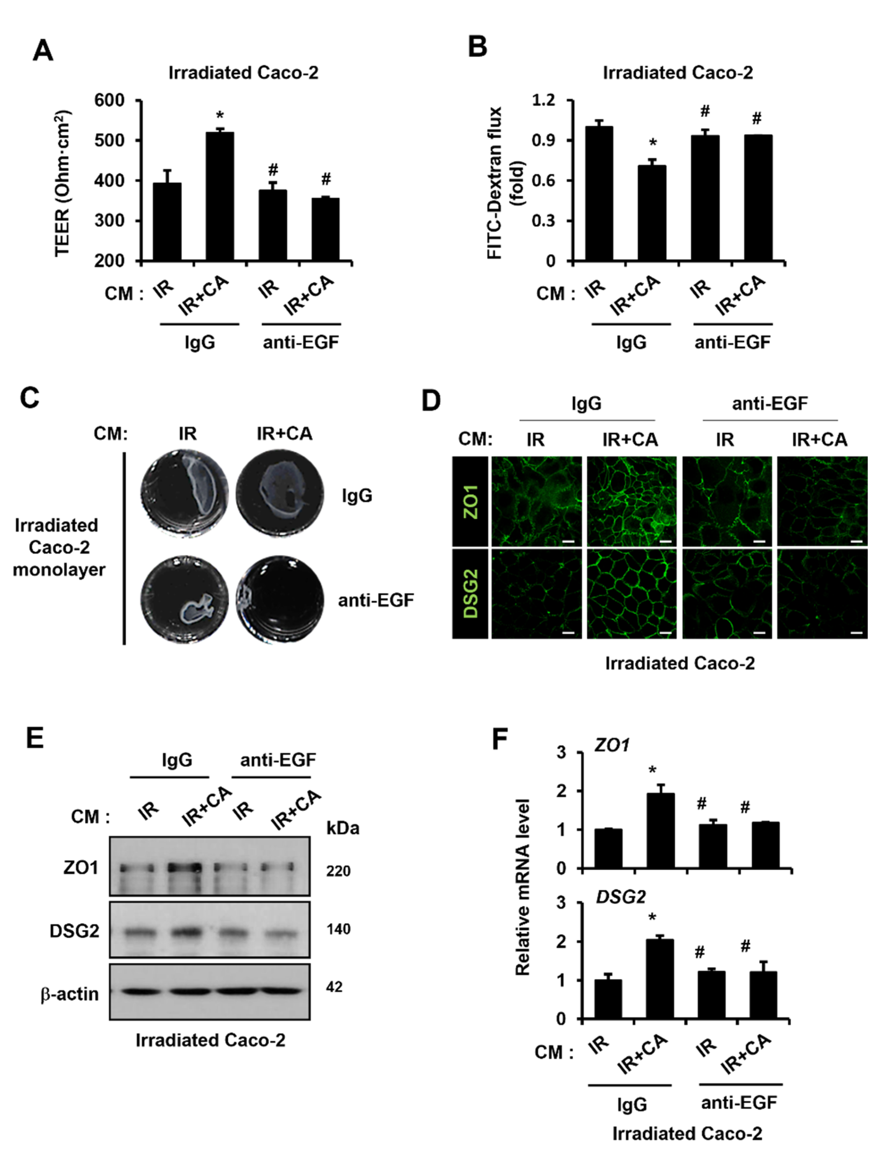 Cells 11 02544 g006 550