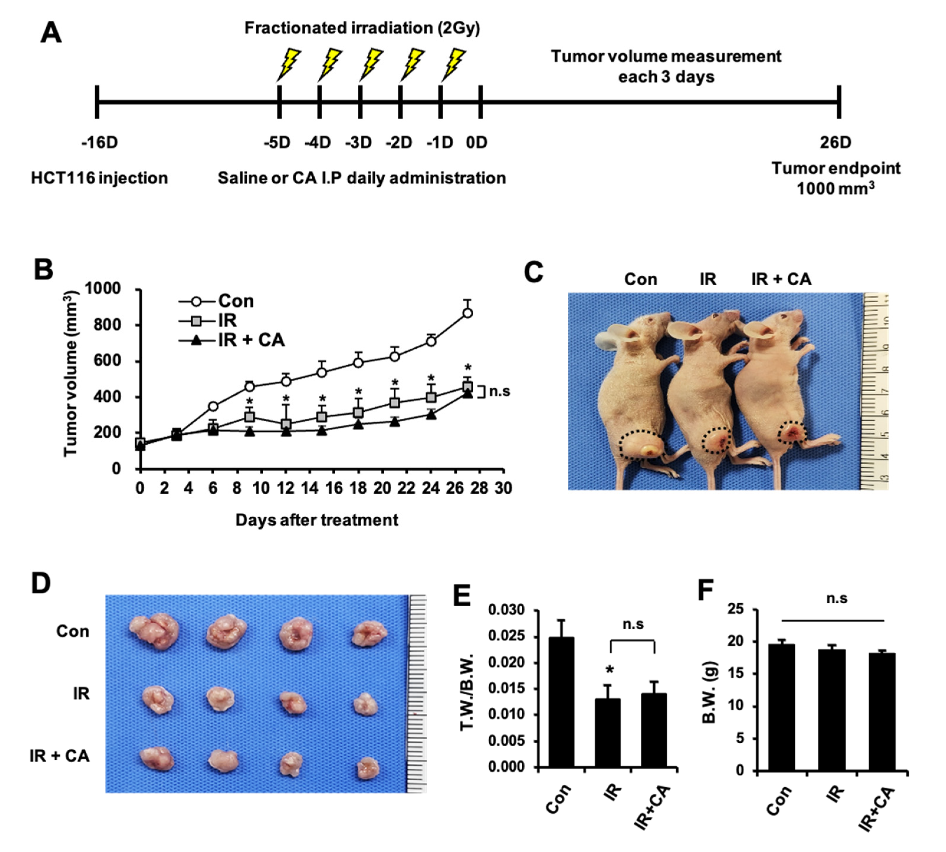 Cells 11 02544 g008 550