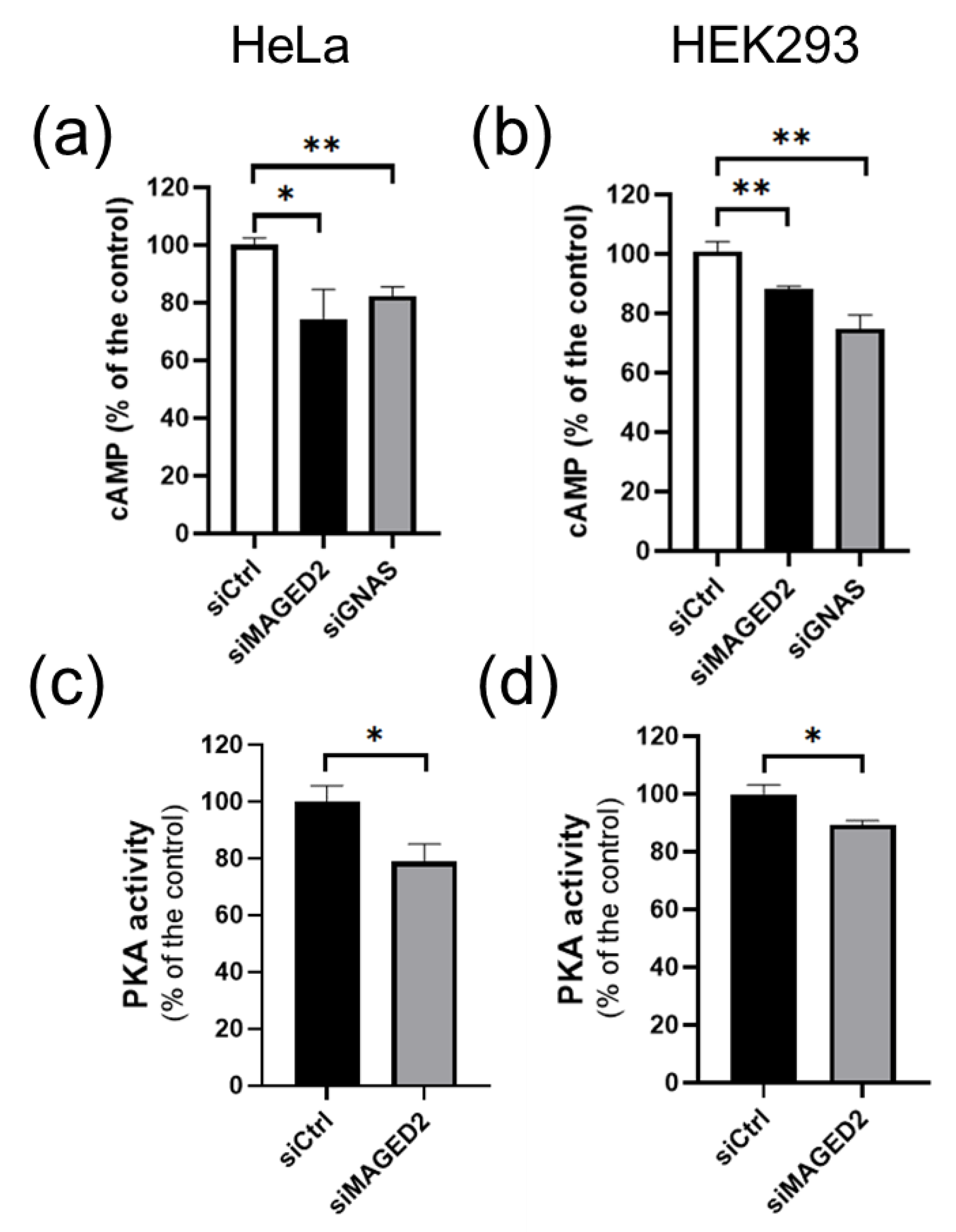 Cells 11 02546 g003 Cells 11 02546 g003