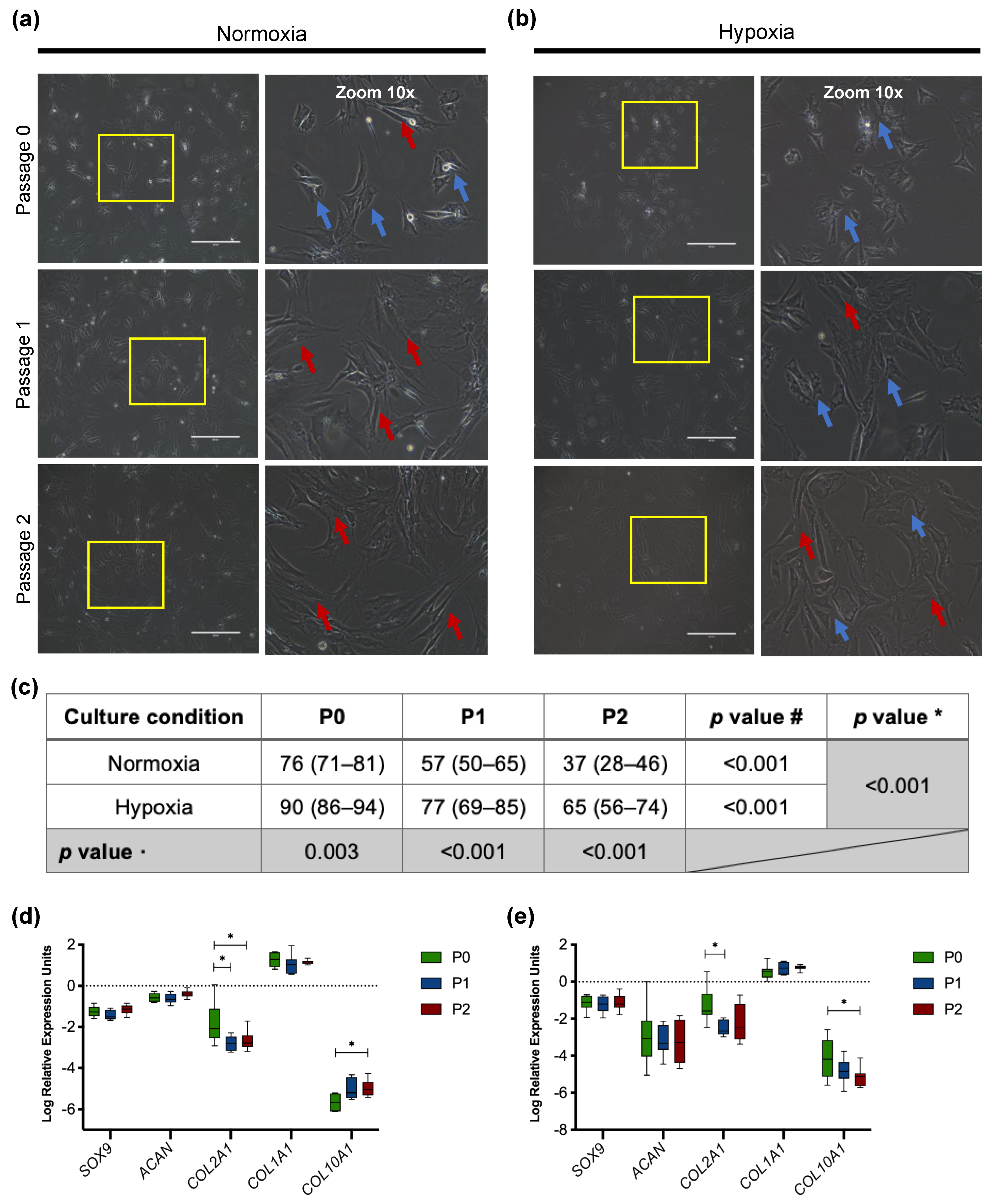 Cells 11 02553 g001 550