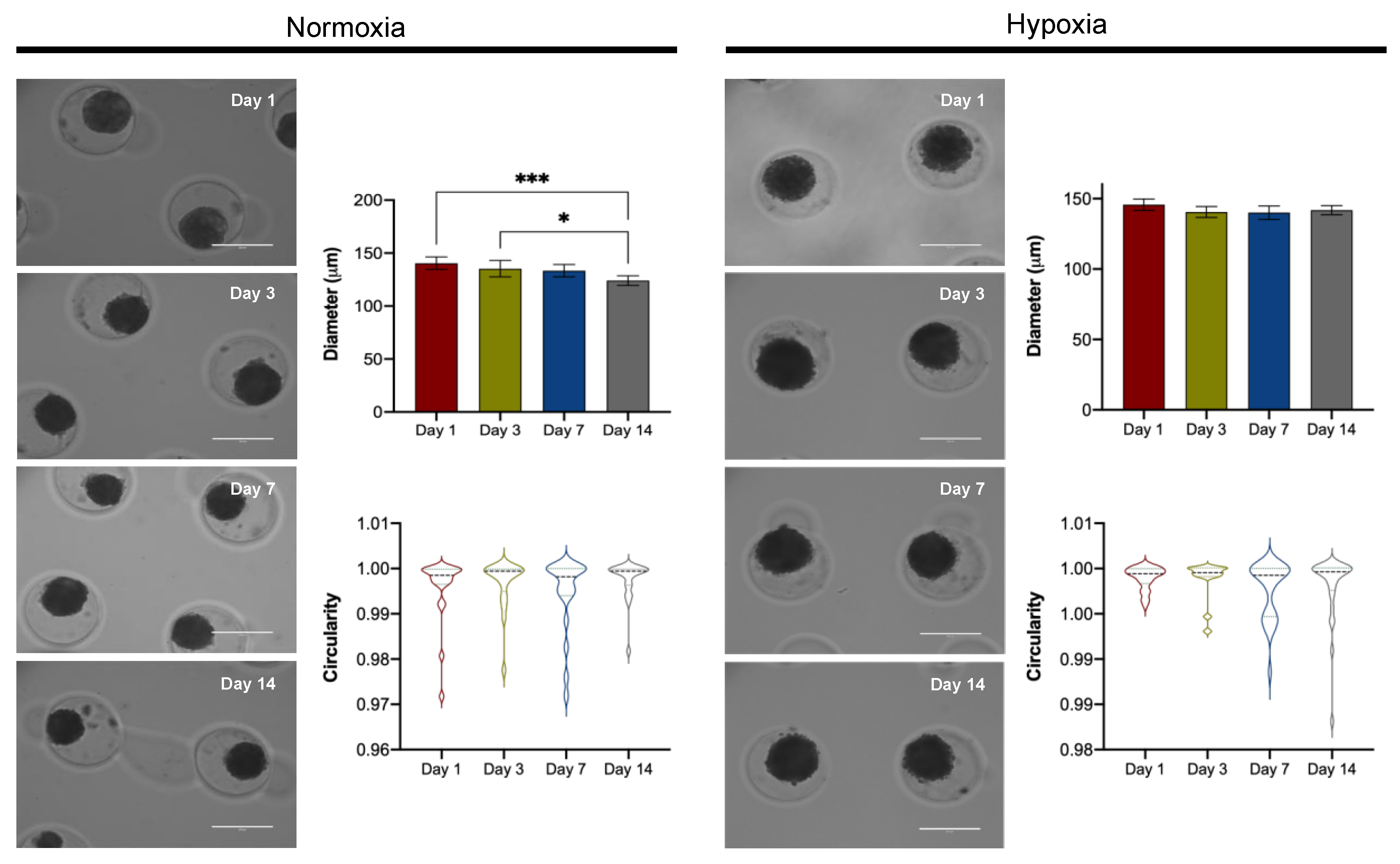 Cells 11 02553 g002 550