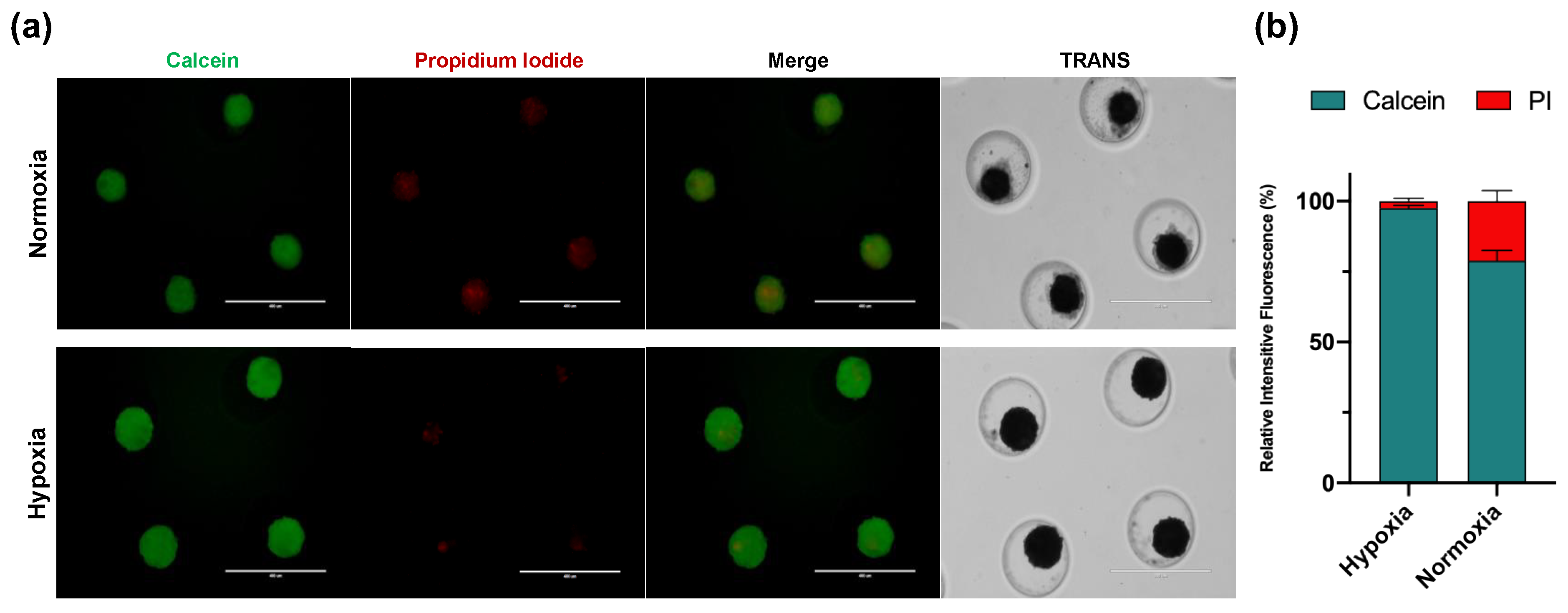 Cells 11 02553 g003 550