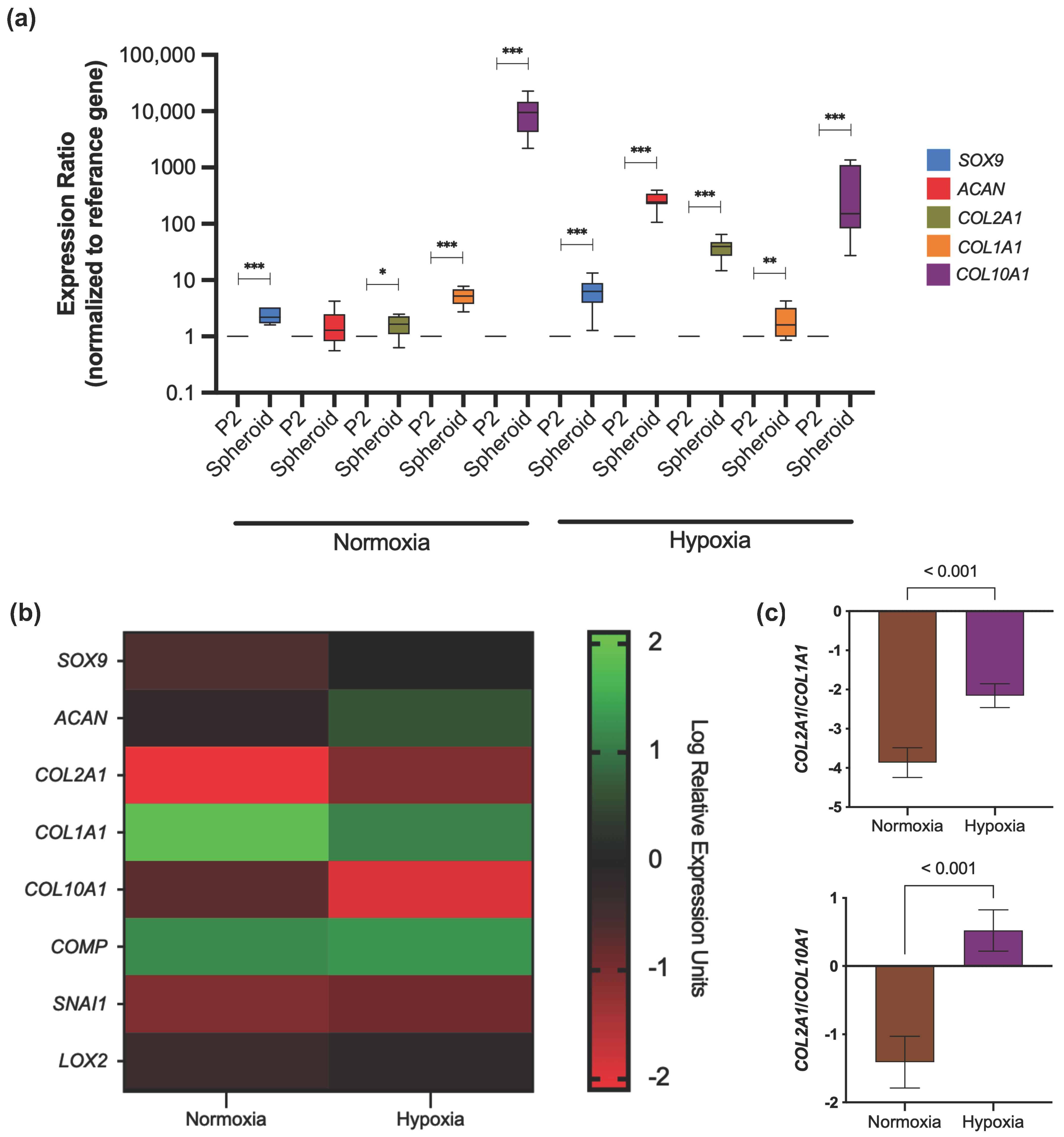 Cells 11 02553 g005 550