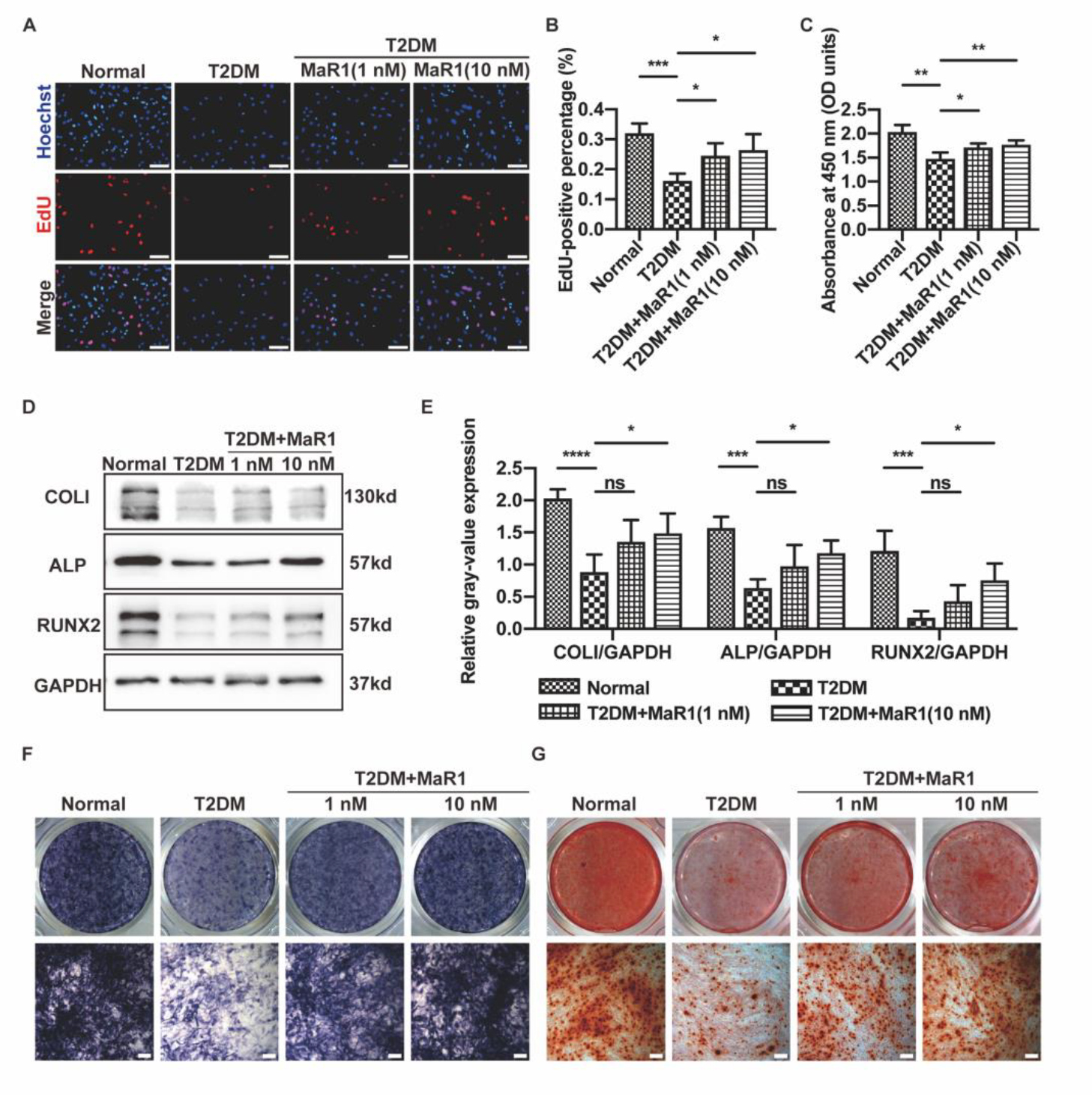 Cells 11 02560 g001 550