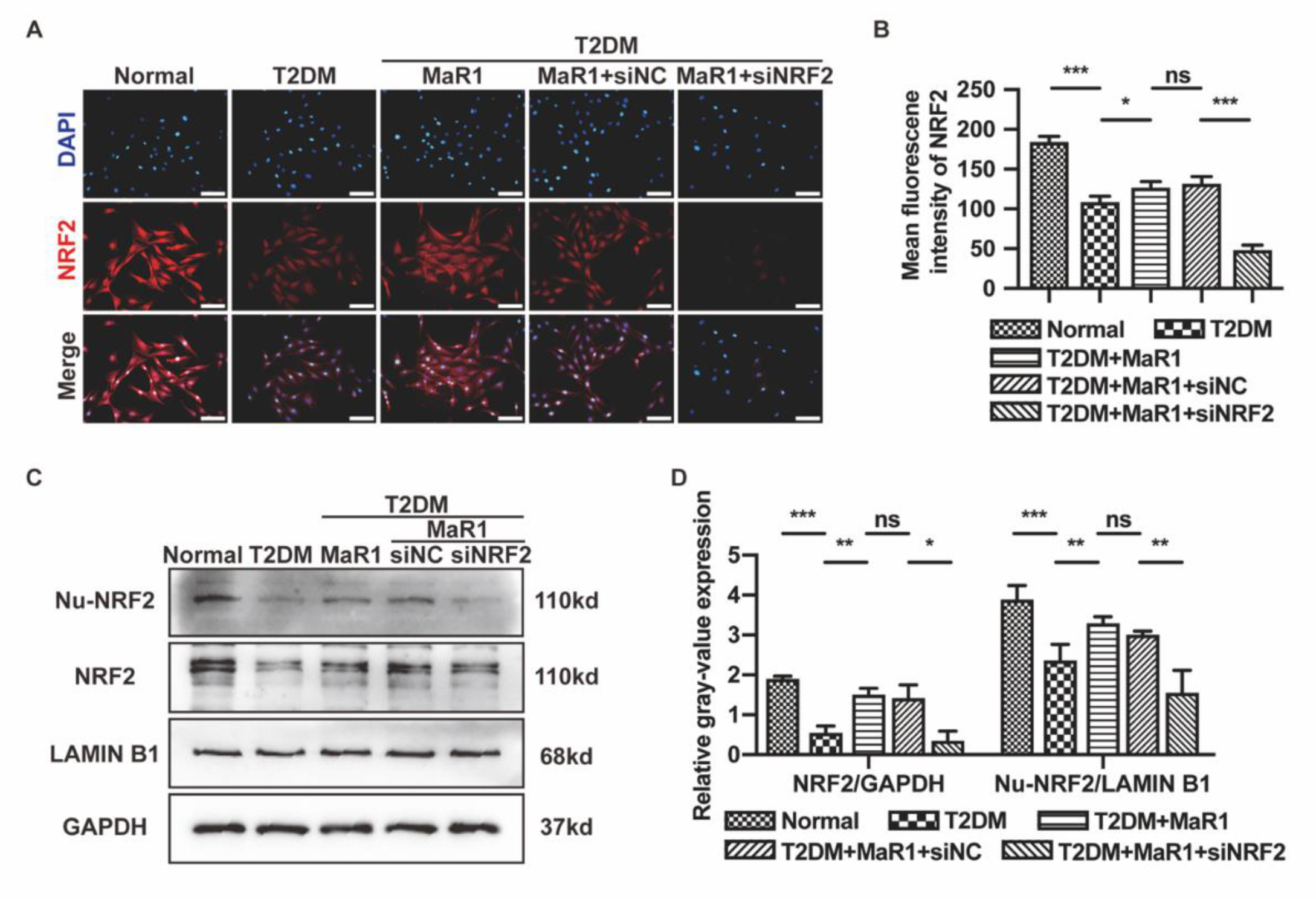 Cells 11 02560 g002 550