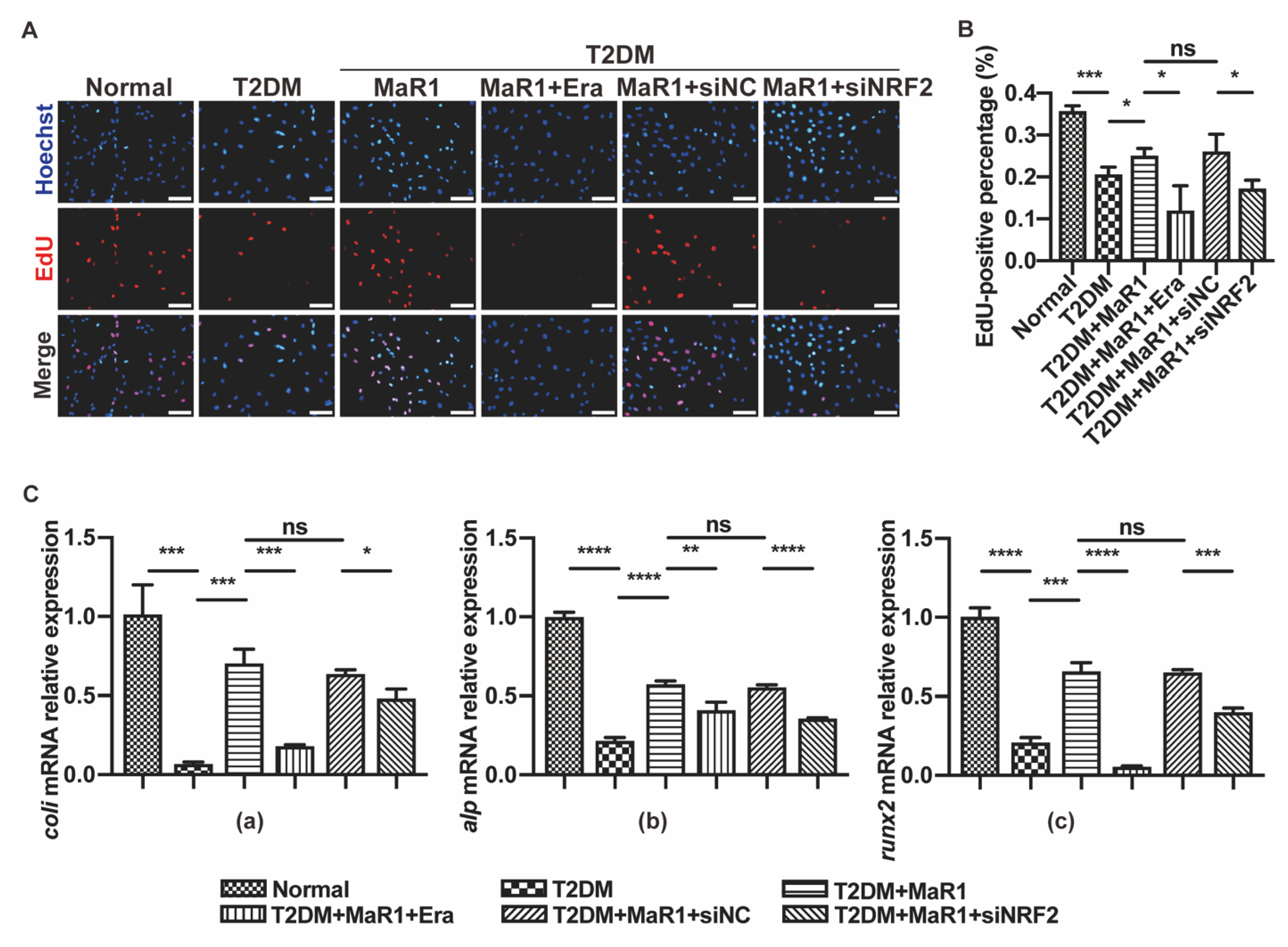 Cells 11 02560 g004 550