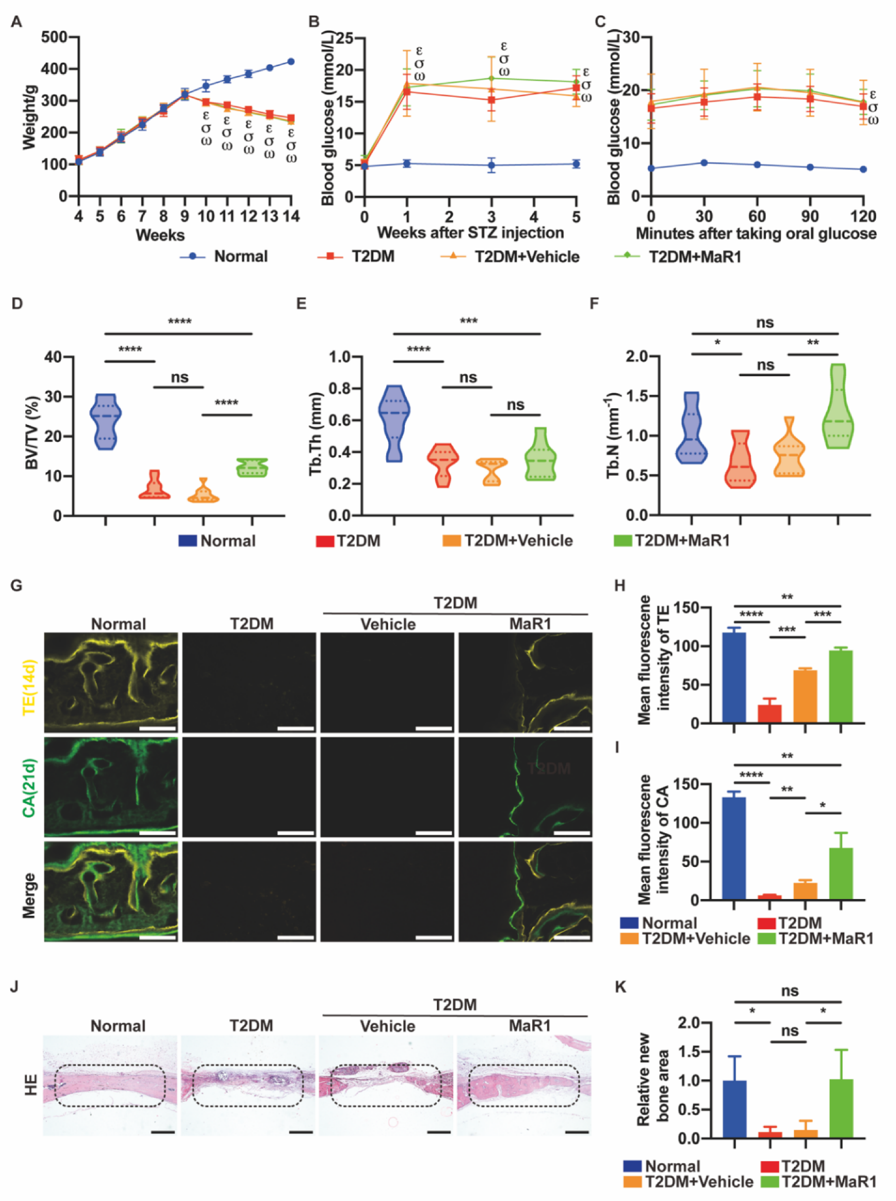 Cells 11 02560 g005 550