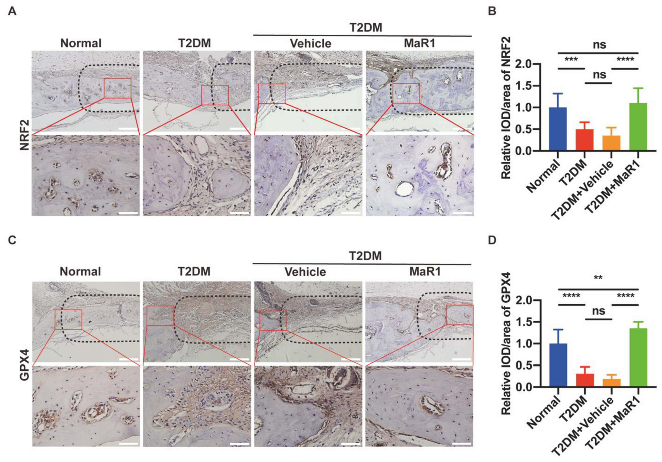 Cells 11 02560 g006 550