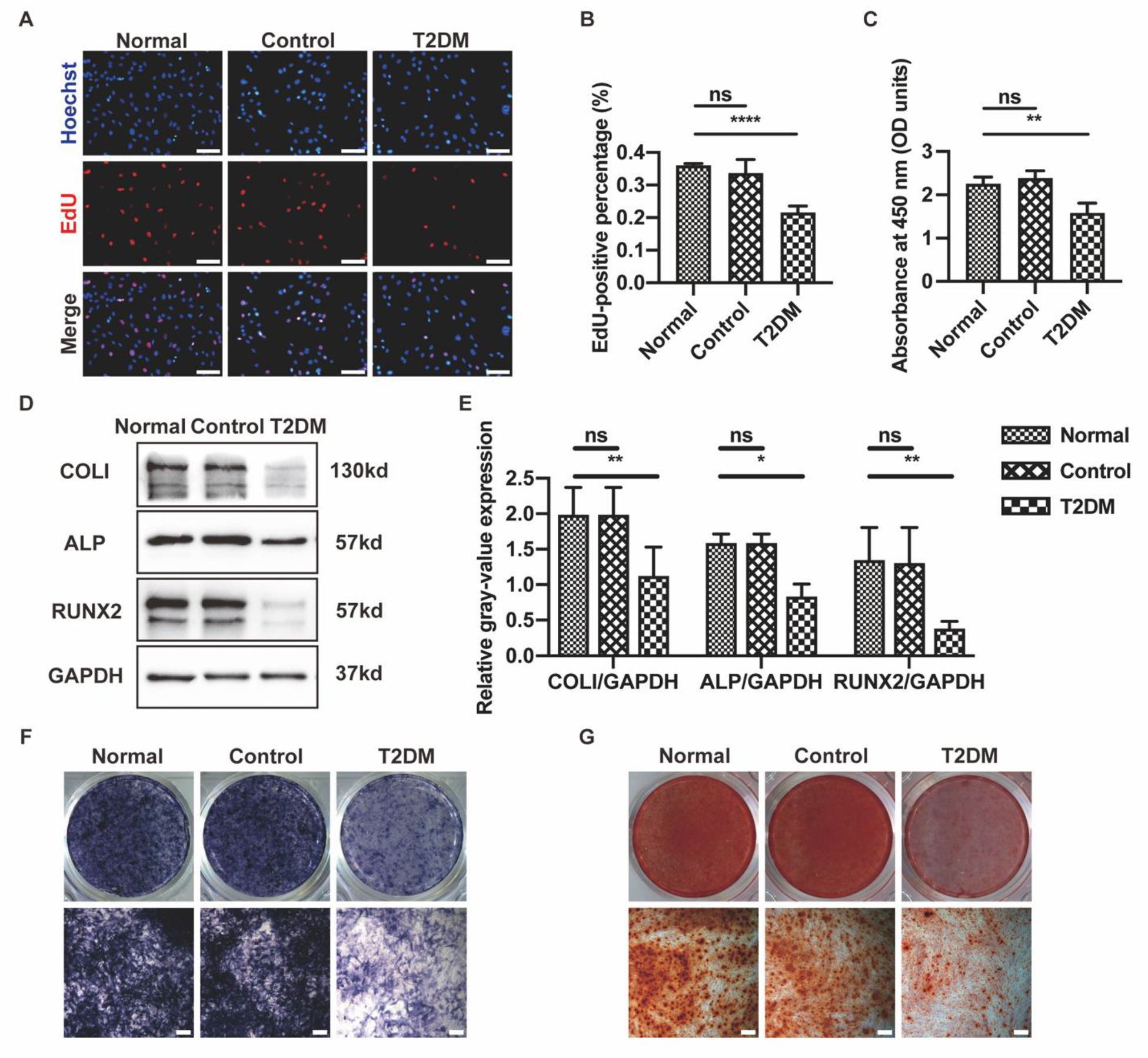 Cells 11 02560 g0a1 550